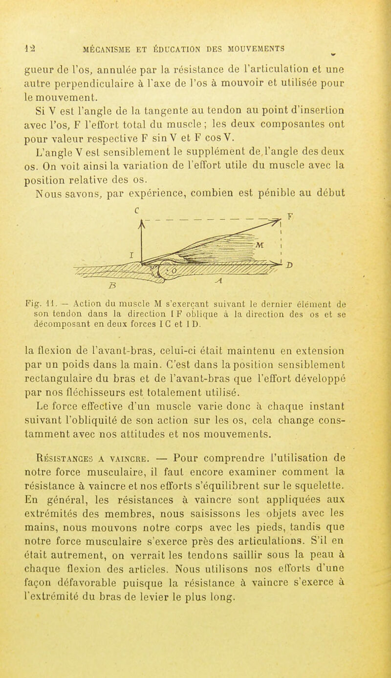 gueur de l'os, annulée par la résistance de l'articulation et une autre perpendiculaire à l'axe de l'os à mouvoir et utilisée pour le mouvement. Si V est l'angle de la tangente au tendon au point d'insertion avec l'os, F l'effort total du muscle ; les deux composantes ont pour valeur respective F sin V et F cosV. L'angle V esL sensiblement le supplément de,l'angle des deux os. On voit ainsi la variation de l'effort utile du muscle avec la position relative des os. Nous savons, par expérience, combien est pénible au début Fig. 11.— Action du muscle M s'exerçant suivant le dernier élément de son tendon dans la direction I F oblique à la direction des os et se décomposant en deux forces IC et 1 D. la flexion de l'avant-bras, celui-ci était maintenu en extension par un poids dans la main. C'est dans la position sensiblement rectangulaire du bras et de l'avant-bras que l'effort développé par nos fléchisseurs est totalement utilisé. Le force effective d'un muscle varie donc à chaque instant suivant l'obliquité de son action sur les os, cela change cons- tamment avec nos attitudes et nos mouvements. Résistances a vaincre. — Pour comprendre l'utilisation de notre force musculaire, il faut encore examiner comment la résistance à vaincre et nos efforts s'équilibrent sur le squelette. En général, les résistances à vaincre sont appliquées aux extrémités des membres, nous saisissons les objets avec les mains, nous mouvons notre corps avec les pieds, tandis que notre force musculaire s'exerce près des articulations. S'il en était autrement, on verrait les tendons saillir sous la peau à chaque flexion des articles. Nous utilisons nos efforts d'une façon défavorable puisque la résislance à vaincre s'exerce à l'extrémité du bras de levier le plus long.