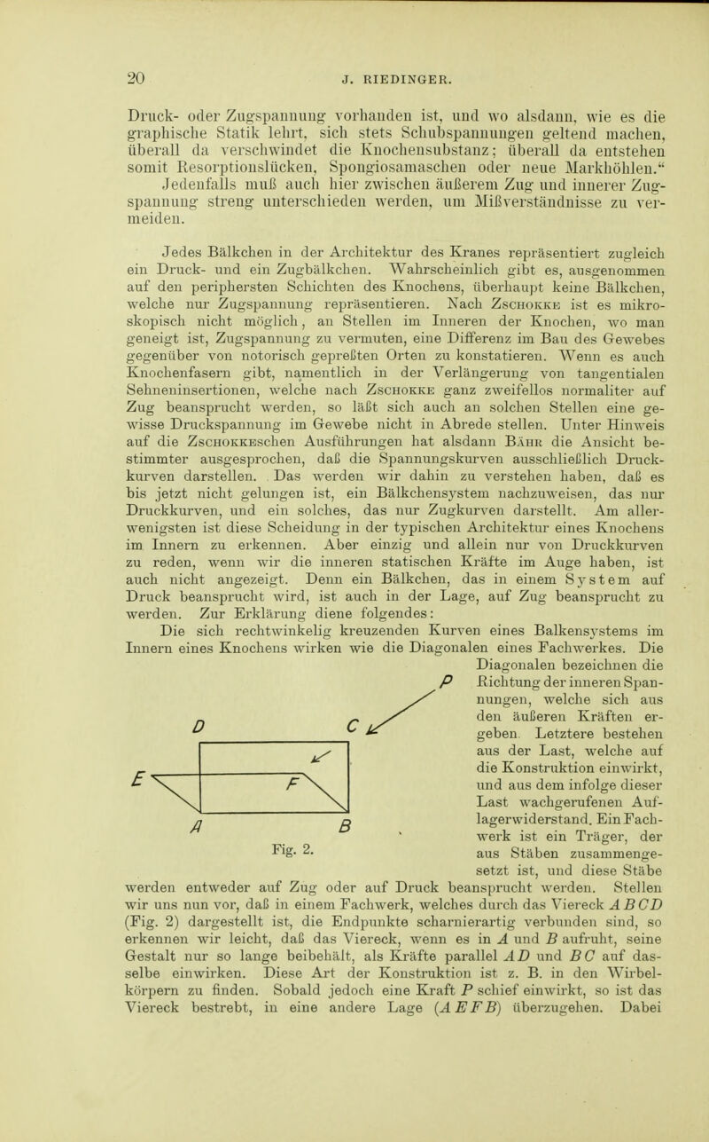 Druck- oder Zugspannimg vorhanden ist, und wo alsdann, wie es die grapliische Statik lehrt, sich stets Schubspanuungen geltend machen, überall da verschwindet die Knochensubstanz; überall da entstehen somit Resorptionslücken, Spongiosamaschen oder neue Markhölilen. Jedenfalls muß auch hier zwischen äußerem Zug und innerer Zug- spannung streng unterschieden werden, um Mißverstäudnisse zu ver- meiden. Jedes Bälkchen in der Architektur des Kranes repräsentiert zugleich ein Druck- und ein Zugbälkchen. Wahrscheinlich gibt es, ausgenommen auf den periphersten Schichten des Knochens, überhaupt keine Bälkchen, welche nur Zugspannung repräsentieren. Nach Zschokkk ist es mikro- skopisch nicht möglich, an Stelleu im Inneren der Knochen, wo man geneigt ist, Zugspannung zu vermuten, eine Differenz im Bau des Gewebes gegenüber von notorisch gepreßten Orten zu konstatieren. Wenn es auch Knochenfasern gibt, namentlich in der Verlängerung von tangentialen Sehneninsertionen, welche nach Zschokke ganz zweifellos normaliter auf Zug beansprucht werden, so läßt sich auch an solchen Stellen eine ge- wisse Druckspannung im Gewebe nicht in Abrede stellen. Unter Hinweis auf die ZscHOKKEschen Ausführungen hat alsdann Bahr die Ansicht be- stimmter ausgesprochen, daß die Spannungskurven ausschließlich Drnck- kurven darstellen. Das werden wir dahin zu verstehen haben, daß es bis jetzt nicht gelungen ist, ein Bälkchensysteni nachzuweisen, das nur Druckkurven, und ein solches, das nur Zugkurven darstellt. Am aller- wenigsten ist diese Scheidung in der typischen Architektur eines Ivnochens im Innern zu erkennen. Aber einzig und allein nur von Druckkurven zu reden, wenn wir die inneren statischen Kräfte im Auge haben, ist auch nicht angezeigt. Denn ein Bälkchen, das in einem Sj'stem auf Druck beansprucht wird, ist auch in der Lage, auf Zug beansjjrucht zu werden. Zur Erklärung diene folgendes: Die sich rechtwinkelig kreuzenden Kurven eines Balkensj'stems im Innern eines Knochens wirken wie die Diagonalen eines Fachwerkes. Die werden entweder auf Zug oder auf Druck beansprucht werden. Stellen wir uns nun vor, daß in einem Fachwerk, welches durch das Viereck Ä B CD (Fig. 2) dargestellt ist, die Endjounkte scharnierartig verbunden sind, so erkennen wir leicht, daß das Viereck, wenn es in A und B aufruht, seine Gestalt nur so lange beibehält, als Kräfte parallel AD und BC auf das- selbe einwirken. Diese Art der Konstruktion ist z. B. in den Wirbel- körpern zu finden. Sobald jedoch eine Kraft P schief einwirkt, so ist das Viereck bestrebt, in eine andere Lage (AEFB) überzugehen. Dabei Diagonalen bezeichnen die Fig. 2. ß P Richtung der inneren Span- nungen, welche sich aus den äußeren Kräften er- geben. Letztere bestehen aus der Last, welche auf die Konstruktion einwirkt, und aus dem infolge dieser Last wachgerufenen Auf- lagerwiderstand. Ein Fach- werk ist ein Träger, der aus Stäben zusammenge- setzt ist, und diese Stäbe