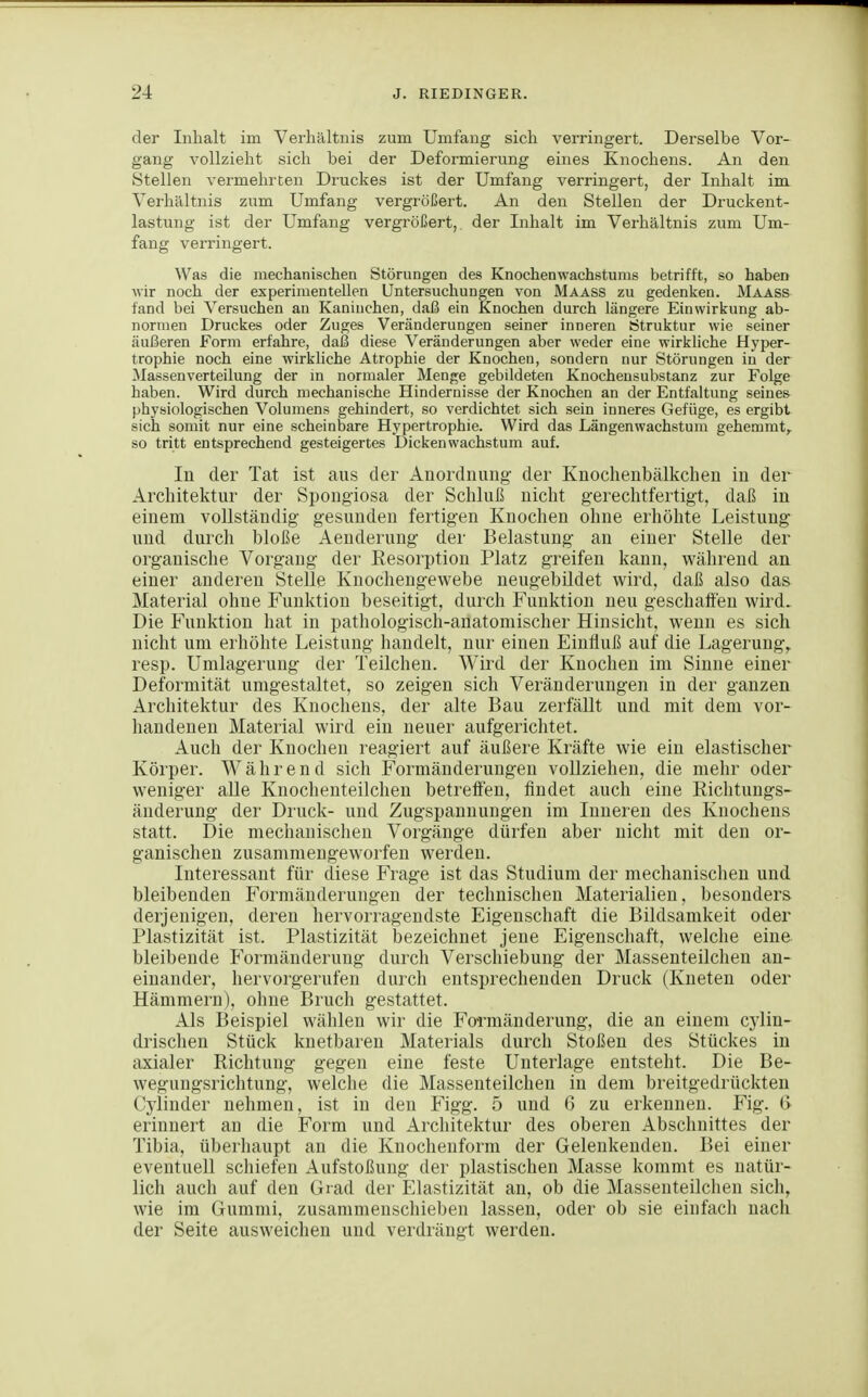 der Inhalt im Verhältnis zum Umfang sich verringert. Derselbe Vor- gang vollzieht sich bei der Deformierung eines Knochens. An den Stellen vermehrten Druckes ist der Umfang verringert, der Inhalt im Verhältnis zum Umfang vergrößert. An den Stellen der Druckent- lastung ist der Umfang vergrößert, der Inhalt im Verhältnis zum Um- fang verringert. Was die mechanischen Störungen des Knochenwachstums betrifft, so haben wir noch der experimentellen Untersuchungen von Maass zu gedenken. Maass fand bei Versuchen an Kaninchen, daß ein Knochen durch längere Einwirifung ab- normen Druckes oder Zuges Veränderungen seiner inneren Struktur wie seiner äußeren Form erfahre, daß diese Veränderungen aber weder eine wirkliche Hyper- trophie noch eine wirkliche Atrophie der Knochen, sondern nur Störungen in der Massen Verteilung der in normaler Menge gebildeten Knochensubstanz zur Folge haben. Wird durch mechanische Hindernisse der Knochen an der Entfaltung seines physiologischen Volumens gehindert, so verdichtet sich sein inneres Gefüge, es ergibt sich somit nur eine scheinbare Hypertrophie. Wird das Längenwachstum gehemmt^ so tritt entsprechend gesteigertes Dicken Wachstum auf. In der Tat ist aus der Anordnung der Knochenbälkchen in der Architektur der Spongiosa der Schluß nicht gerechtfertigt, daß in einem vollständig gesunden fertigen Knochen ohne erhöhte Leistung und durch bloße Aenderung der Belastung an einer Stelle der organische Vorgang der Resorption Platz greifen kann, während an einer anderen Stelle Knochengewebe neugebildet wird, daß also das Material ohne Funktion beseitigt, durch Funktion neu geschaffen wird. Die Funktion hat in pathologisch-anatomischer Hinsicht, wenn es sich nicht um erhöhte Leistung handelt, nur einen Einfluß auf die Lagerung,, resp. Umlagerung der Teilchen. Wird der Knochen im Sinne einer Deformität umgestaltet, so zeigen sich Veränderungen in der ganzen Architektur des Knochens, der alte Bau zerfällt und mit dem vor- handenen Material wird ein neuer aufgerichtet. Auch der Knochen reagiert auf äußere Kräfte wie ein elastischer Körper. Während sich Formänderungen vollziehen, die mehr oder weniger alle Knochenteilchen betreffen, findet auch eine Richtuugs- äuderung der Druck- und Zugspannungen im Inneren des Knochens statt. Die mechanischen Vorgänge dürfen aber nicht mit den or- ganischen zusammengeworfen werden. Interessant für diese Frage ist das Studium der mechanischen und bleibenden Formänderungen der technischen Materialien, besonders derjenigen, deren hervorragendste Eigenschaft die Bildsamkeit oder Plastizität ist. Plastizität bezeichnet jene Eigenschaft, welche eine bleibende Formänderung durch Verschiebung der Massenteilchen an- einander, hervorgerufen durch entsprechenden Druck (Kneten oder Hämmern), ohne Bruch gestattet. Als Beispiel wählen wir die Formänderung, die an einem cylin- drischen Stück knetbaren Materials durch Stoßen des Stückes in axialer Richtung gegen eine feste Unterlage entsteht. Die Be- wegungsrichtung, welche die Massenteilchen in dem breitgedrückten Cylinder nehmen, ist in den Figg. 5 und G zu erkennen. Fig. (> erinnert an die Form und Architektur des oberen Abschnittes der Tibia, überhaupt an die Knochenform der Gelenkenden. Bei einer eventuell schiefen Aufstoßuug der plastischen Masse kommt es natür- lich auch auf den Grad der Elastizität an, ob die Massenteilchen sich, wie im Gummi, zusammenscliieben lassen, oder ob sie einfach nach der Seite ausweichen und verdrängt werden.