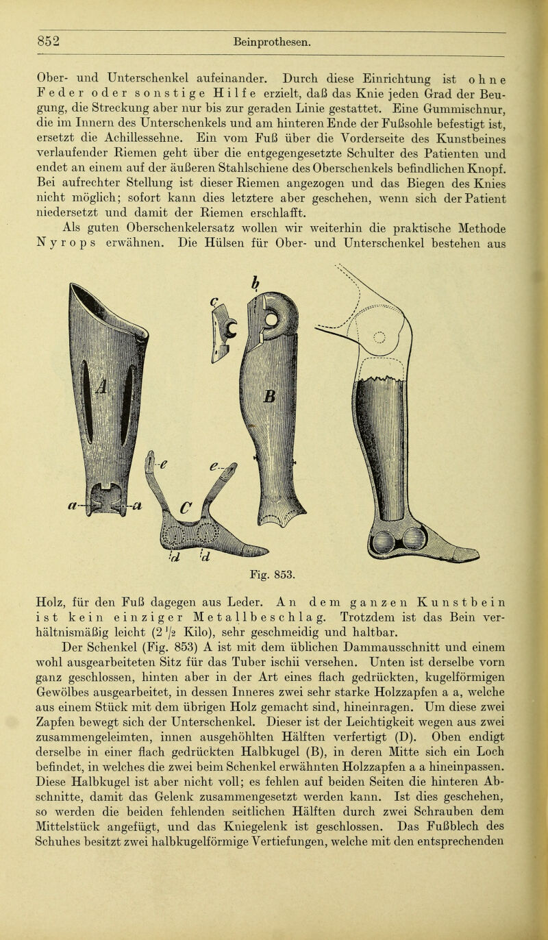 Ober- und Unterschenkel aufeinander. Durch diese Einrichtung ist ohne Feder oder sonstige Hilfe erzielt, daß das Knie jeden Grad der Beu- gung, die Streckung aber nur bis zur geraden Linie gestattet. Eine Gummischnur, die im Innern des Unterschenkels und am hinteren Ende der Fußsohle befestigt ist, ersetzt die Achillessehne. Ein vom Fuß über die Vorderseite des Kunstbeines verlaufender Eiemen geht über die entgegengesetzte Schulter des Patienten und endet an einem auf der äußeren Stahlschiene des Oberschenkels befindlichen Knopf. Bei aufrechter Stellung ist dieser Eiemen angezogen und das Biegen des Knies nicht möglich; sofort kann dies letztere aber geschehen, wenn sich der Patient niedersetzt und damit der Eiemen erschlafft. Als guten Oberschenkelersatz wollen wir weiterhin die praktische Methode N y r o p s erwähnen. Die Hülsen für Ober- und Unterschenkel bestehen aus Fig. 853. Holz, für den Fuß dagegen aus Leder. An dem ganzen Kunstbein ist kein einziger Metallbeschlag. Trotzdem ist das Bein ver- hältnismäßig leicht (2 ]/2 Kilo), sehr geschmeidig und haltbar. Der Schenkel (Fig. 853) A ist mit dem üblichen Dammausschnitt und einem wohl ausgearbeiteten Sitz für das Tuber ischii versehen. Unten ist derselbe vorn ganz geschlossen, hinten aber in der Art eines flach gedrückten, kugelförmigen Gewölbes ausgearbeitet, in dessen Inneres zwei sehr starke Holzzapfen a a, welche aus einem Stück mit dem übrigen Holz gemacht sind, hineinragen. Um diese zwei Zapfen bewegt sich der Unterschenkel. Dieser ist der Leichtigkeit wegen aus zwei zusammengeleimten, innen ausgehöhlten Hälften verfertigt (D). Oben endigt derselbe in einer flach gedrückten Halbkugel (B), in deren Mitte sich ein Loch befindet, in welches die zwei beim Schenkel erwähnten Holzzapfen a a hineinpassen. Diese Halbkugel ist aber nicht voll; es fehlen auf beiden Seiten die hinteren Ab- schnitte, damit das Gelenk zusammengesetzt werden kann. Ist dies geschehen, so werden die beiden fehlenden seitlichen Hälften durch zwei Schrauben dem Mittelstück angefügt, und das Kniegelenk ist geschlossen. Das Fußblech des Schuhes besitzt zwei halbkugelförmige Vertiefungen, welche mit den entsprechenden