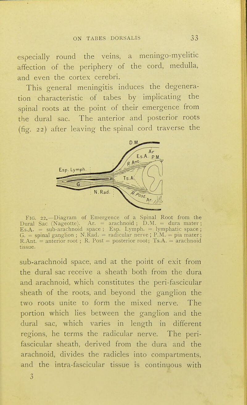 especially round the veins, a meningo-myelitic affection of the periphery of the cord, medulla, and even the cortex cerebri. This general meningitis induces the degenera- tion characteristic of tabes by implicating the spinal roots at the point of their emergence from the dural sac. The anterior and posterior roots (fig. 22) after leaving the spinal cord traverse the Fig. 22.—Diagram of Emergence of a Spinal Root from the Dural Sac (Nageotte). Ar. = arachnoid; D.M. = dura mater; Es.A. = sub-arachnoid space ; Esp. Lymph. = lymphatic space; G. = spinal ganglion ; N.Rad. = radicular nerve ; P.M. = pia mater; R.Ant. = anterior root ; R. Post = posterior root; Ts.A. = arachnoid tissue. sub-arachnoid space, and at the point of exit from the dural sac receive a sheath both from the dura and arachnoid, which constitutes the peri-fascicular sheath of the roots, and beyond the ganglion the two roots unite to form the mixed nerve. The portion which lies between the ganglion and the dural sac, which varies in length in different regions, he terms the radicular nerve. The peri- fascicular sheath, derived from the dura and the arachnoid, divides the radicles into compartments, and the intra-fascicular tissue is continuous with 3