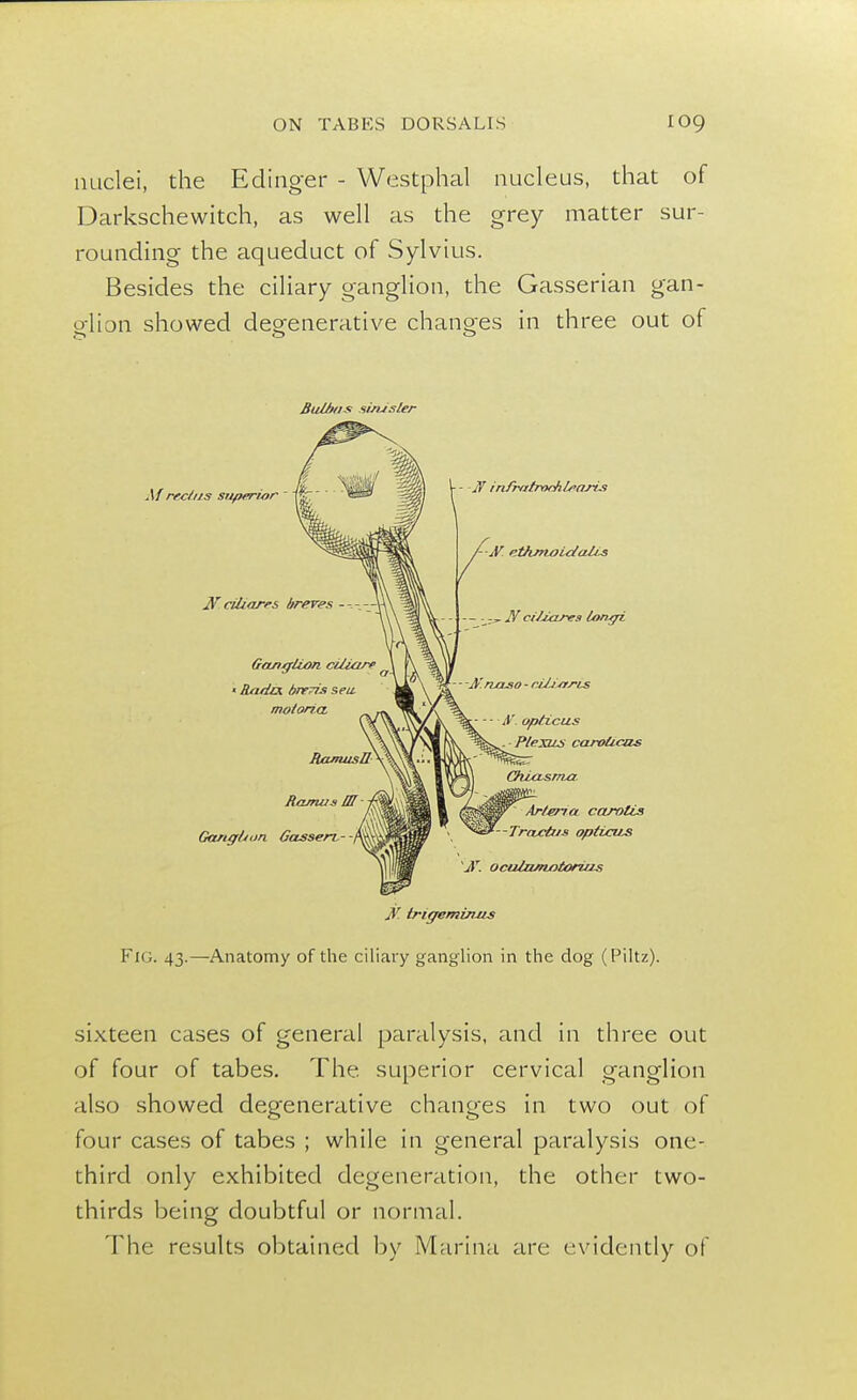 nuclei, the Edinger - Westphal nucleus, that of Darkschewitch, as well as the grey matter sur- rounding the aqueduct of Sylvius. Besides the ciliary ganglion, the Gasserian gan- glion showed degenerative changes in three out of Bulbtis sinister jV. trigeminus FlG. 43.—Anatomy of the ciliary ganglion in the dog (Piltz). sixteen cases of general paralysis, and in three out of four of tabes. The. superior cervical ganglion also showed degenerative changes in two out of four cases of tabes ; while in general paralysis one- third only exhibited degeneration, the other two- thirds being doubtful or normal. The results obtained by Marina arc evidently of