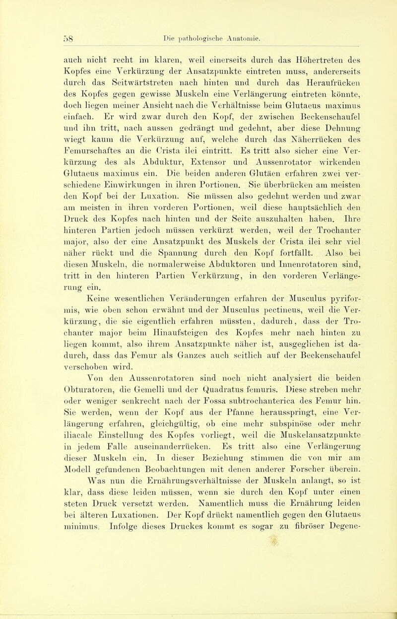 auch nicht recht im klaren, weil einerseits durch das Höhertreten des Kopfes eine Verkürzung der Ansatzpunkte eintreten muss, andererseits durch das Seitwärtstreten nach hinten und durch das Heraufrücken des Kopfes gegen gewisse Muskeln eine Verlängerung eintreten könnte, doch liegen meiner Ansicht nach die Verhältnisse beim Glutaeus maximus einfach. Er wird zwar durch den Kopf, der zwischen Beckenschaufel und ihn tritt, nach aussen gedrängt und gedehnt, aber diese Dehnung wiegt kaum die Verkürzung auf, welche durch das Näherrücken des Femurschaftes an die Crista ilei eintritt. Es tritt also sicher eine Ver- kürzung des als Abduktur, Extensor und Aussenrotator wirkenden Glutaeus maximus ein. Die beiden anderen Glutäen erfahren zwei ver- schiedene Einwirkungen in ihren Portionen. Sie überbrücken am meisten den Kopf bei der Luxation. Sie müssen also gedehnt werden und zwar am meisten in ihren vorderen Portionen, weil diese hauptsächlich den Druck des Kopfes nach hinten und der Seite auszuhalten haben. Ihre hinteren Partien jedoch müssen verkürzt werden, weil der Trochanter major, also der eine Ansatzpunkt des Muskels der Crista ilei sehr viel näher rückt und die Spannung durch den Kopf fortfällt. Also bei diesen Muskeln, die normalerweise Abduktoren und Innenrotatoren sind, tritt in den hinteren Partien Verkürzung, in den vorderen Verlänge- rung ein. Keine wesentlichen Veränderungen erfahren der Musculus pyrifor- mis, wie oben schon erwähnt rtnd der Musculus pectineus, weil die Ver- kürzung, die sie eigentlich erfahren müssten, dadurch, dass der Tro- chanter major beim Hinaufsteigen des Kopfes mehr nach hinten zu liegen kommt, also ihrem Ansatzpunkte näher ist, ausgeglichen ist da- durch, dass das Femur als Ganzes auch seitlich auf der Beckenschaufel verschoben wird. Von den Aussenrotatoren sind noch nicht analysiert die beiden Obturatoren, die Gemelli und der Quadratus femuris. Diese streben mehr oder weniger senkrecht nach der Fossa subtrochanterica des Femur hin. Sie werden, wenn der Kopf aus der Pfanne herausspringt, eine Ver- längerung erfahren, gleichgültig, ob eine mehr subspinöse oder mehr iliacale Einstellung des Kopfes vorliegt, weil die Muskelansatzpunkte in jedem Falle auseinanderrücken. Es tritt also eine Verlängerung dieser Muskeln ein. In dieser Beziehung stimmen die von mir am Modell gefundenen Beobachtungen mit denen anderer Forscher überein. Was nun die Ernährungsverhältnisse der Muskeln anlangt, so ist klar, dass diese leiden müssen, wenn sie durch den Kopf unter einen steten Druck versetzt werden. Namentlich muss die Ernährung leiden bei älteren Luxationen. Der Kopf drückt namentlich gegen den Glutaeus minimus. Infolge dieses Druckes kommt es sogar zu fibröser Degene-