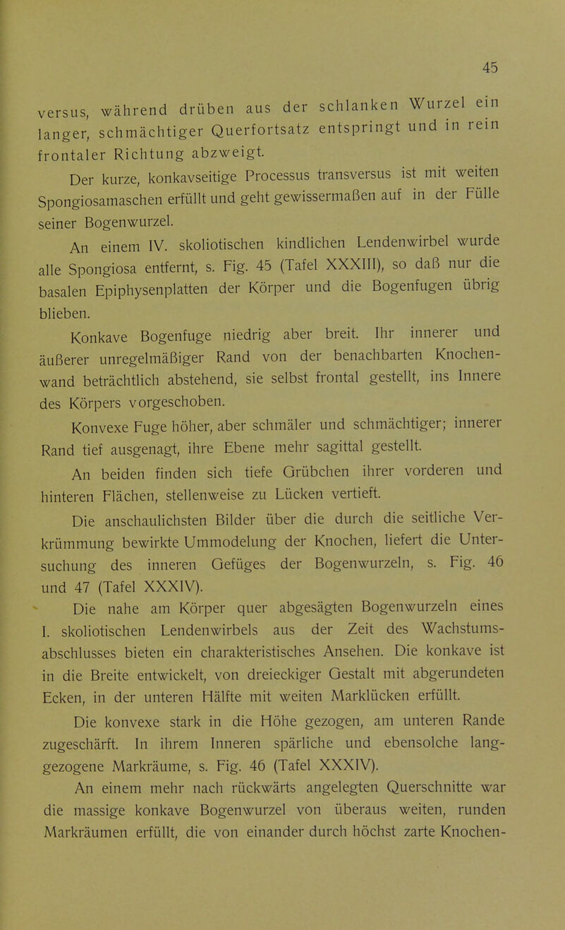 versus, während drüben aus der schlanken Wurzel ein langer, schmächtiger Querfortsatz entspringt und in rein frontaler Richtung abzweigt. Der kurze, konkavseitige Processus transversus ist mit weiten Spongiosamaschen erfüllt und geht gewissermaßen auf in der Fülle seiner Bogenwurzel. An einem IV. skoliotischen kindlichen Lendenwirbel wurde alle Spongiosa entfernt, s. Fig. 45 (Tafel XXXIII), so daß nur die basalen Epiphysenplatten der Körper und die Bogenfugen übrig blieben. Konkave Bogenfuge niedrig aber breit. Ihr innerer und äußerer unregelmäßiger Rand von der benachbarten Knochen- wand beträchtlich abstehend, sie selbst frontal gestellt, ins Innere des Körpers vorgeschoben. Konvexe Fuge höher, aber schmäler und schmächtiger; innerer Rand tief ausgenagt, ihre Ebene mehr sagittal gestellt. An beiden finden sich tiefe Grübchen ihrer vorderen und hinteren Flächen, stellenweise zu Lücken vertieft. Die anschaulichsten Bilder über die durch die seitliche Ver- krümmung bewirkte Ummodelung der Knochen, liefert die Unter- suchung des inneren Gefüges der Bogenwurzeln, s. Fig. 46 und 47 (Tafel XXXIV). Die nahe am Körper quer abgesägten Bogenwurzeln eines I. skoliotischen Lendenwirbels aus der Zeit des Wachstums- abschlusses bieten ein charakteristisches Ansehen. Die konkave ist in die Breite entwickelt, von dreieckiger Gestalt mit abgerundeten Ecken, in der unteren Hälfte mit weiten Marklücken erfüllt. Die konvexe stark in die Höhe gezogen, am unteren Rande zugeschärft. In ihrem Inneren spärliche und ebensolche lang- gezogene Markräume, s. Fig. 46 (Tafel XXXIV). An einem mehr nach rückwärts angelegten Querschnitte war die massige konkave Bogenwurzel von überaus weiten, runden Markräumen erfüllt, die von einander durch höchst zarte Knochen-