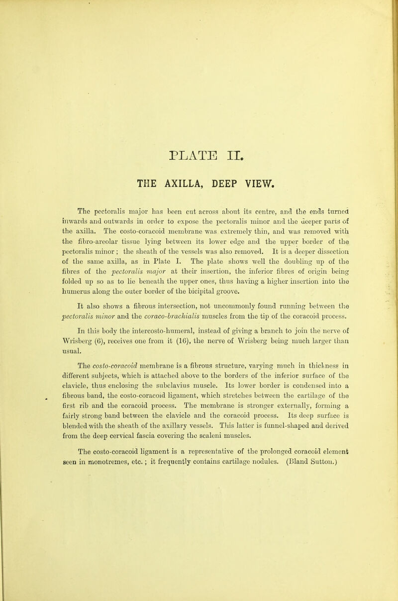 THE AXILLA, DEEP VIEW. The pectoralis major has been cut across about its centre, and the ends turned inwards and outwards in order to expose the pectoralis minor and the deeper parts of the axilla. The costo-coracoid membrane was extremely thin, and was removed with the fibro-areolar tissue lying between its lower edge and the upper border of the pectoralis minor ; the sheath of the vessels was also removed. It is a deeper dissection of the same axilla, as m Plate I. The plate shows well the doubling up of the fibres of the pectoralis major at their insertion, the inferior fibres of origin being folded up so as to lie beneath the upper ones, thus havmg a higher msertion into the humerus along the outer border of the bicipital groove. It also shows a fibrous intersection, not uncommonly found running between tlie pectoralis minor and the coraco-brachialis muscles from the tip of the coracoid process. In this body the intercosto-humeral, instead of giving a branch to join the nerve of Wrisberg (6), receives one from it (16), the nerve of Wrisberg bemg much larger than usual. The costo-coracoid membrane is a fibrous structure, varying much in thickness in different subjects, which is attached above to the borders of the inferior surface of the clavicle, thus enclosing the subclavius muscle. Its lower border is condensed into a fibrous band, the costo-coracoid ligament, which stretches between the cartilage of the first rib and the coracoid process. The membrane is stronger externally, forming a fairly strong band between the clavicle and the coracoid process. Its deep surface is blended with the sheath of the axillary vessels. Tliis latter is funnel-shaped and derived from the deep cervical fascia covering the scaleni muscles. The costo-coracoid ligament is a representative of the prolonged coracoid element seen in monotremes, etc. ; it frequently contains cartilage nodules. (Bland Sutton.)
