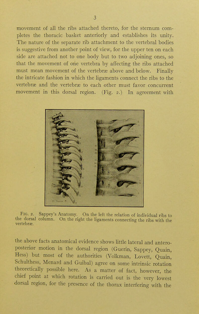 movement of all the ribs attached thereto, for the sternum com- pletes the thoracic basket anteriorly and establishes its unity. The nature of the separate rib attachment to the vertebral bodies is suggestive from another point of view, for the upper ten on each side are attached not to one body but to two adjoining ones, so that the movement of one vertebra by affecting the ribs attached must mean movement of the vertebrae above and below. Finally the intricate fashion in which the ligaments connect the ribs to the vertebra; and the vertebras to each other must favor concurrent movement in this dorsal region. (Fig. 2.) In agreement with Fig. 2. Sappey's Anatomy. On the left the relation of individual ribs to the dorsal column. On the right the ligaments connecting the ribs with the vertebrae. the above facts anatomical evidence shows little lateral and antero- posterior motion in the dorsal region (Guerin, Sappey, Quain, Hess) but most of the authorities (Volkman, Lovett, Quain, Schulthess, Menard and Guibal) agree on some intrinsic rotation theoretically possible here. As a matter of fact, however, the chief point at which rotation is carried out is the very lowest dorsal region, for the presence of the thorax interfering with the