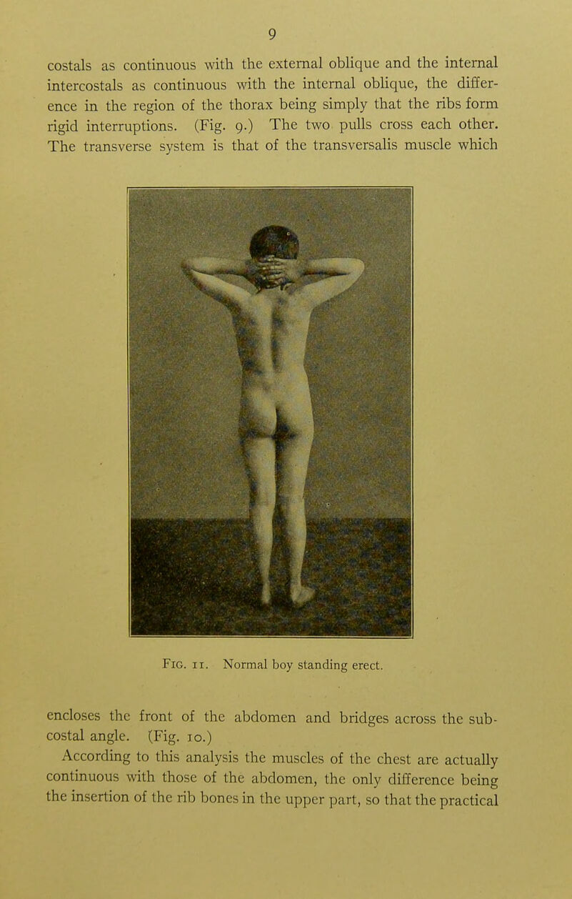 costals as continuous with the external oblique and the internal intercostals as continuous with the internal oblique, the differ- ence in the region of the thorax being simply that the ribs form rigid interruptions. (Fig. 9.) The two pulls cross each other. The transverse system is that of the transversalis muscle which Fig. ir. Normal boy standing erect. encloses the front of the abdomen and bridges across the sub- costal angle. (Fig. 10.) According to this analysis the muscles of the chest are actually continuous with those of the abdomen, the only difference being the insertion of the rib bones in the upper part, so that the practical