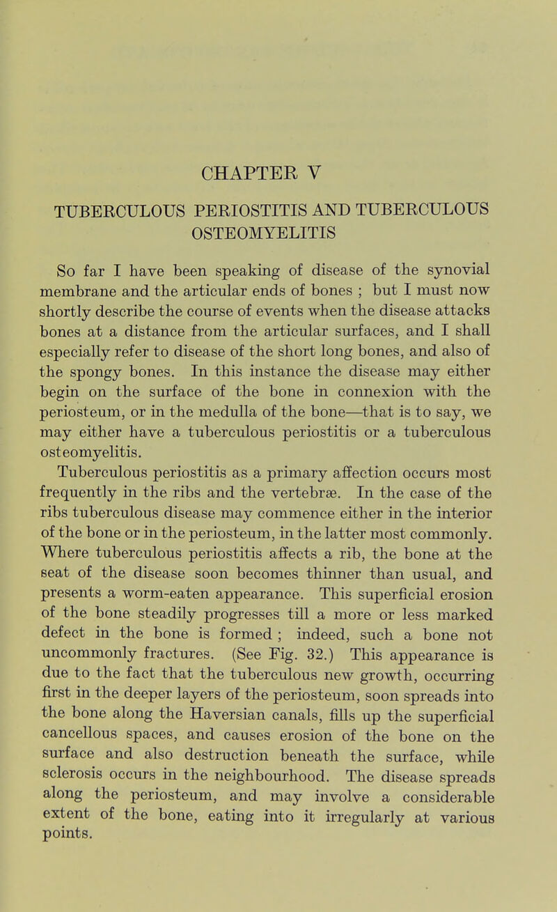 TUBERCULOUS PERIOSTITIS AND TUBERCULOUS OSTEOMYELITIS So far I have been speaking of disease of the synovial membrane and the articular ends of bones ; but I must now shortly describe the course of events when the disease attacks bones at a distance from the articular surfaces, and I shall especially refer to disease of the short long bones, and also of the spongy bones. In this instance the disease may either begin on the surface of the bone in connexion with the periosteum, or in the medulla of the bone—that is to say, we may either have a tuberculous periostitis or a tuberculous osteomyelitis. Tuberculous periostitis as a primary affection occurs most frequently in the ribs and the vertebrae. In the case of the ribs tuberculous disease may commence either in the interior of the bone or in the periosteum, in the latter most commonly. Where tuberculous periostitis affects a rib, the bone at the seat of the disease soon becomes thinner than usual, and presents a worm-eaten appearance. This superficial erosion of the bone steadily progresses till a more or less marked defect in the bone is formed ; indeed, such a bone not uncommonly fractures. (See Fig. 32.) This appearance is due to the fact that the tuberculous new growth, occurring first in the deeper layers of the periosteum, soon spreads into the bone along the Haversian canals, fills up the superficial cancellous spaces, and causes erosion of the bone on the surface and also destruction beneath the surface, while sclerosis occurs in the neighbourhood. The disease spreads along the periosteum, and may involve a considerable extent of the bone, eating into it irregularly at various points.