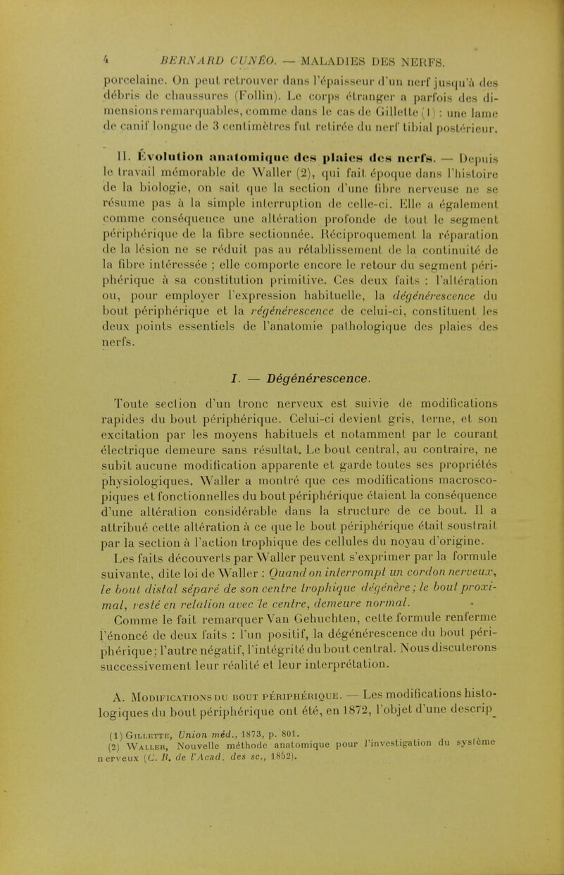 porcelaine. On pont retrouver dans l'épaisseur d'un nerf jusqu'à des débris de chaussures (Follin). Le corps étranger a parfois des di- mensions remarquables, comme dans le cas de Gillette ( I ) : une laine de canif longue de 3 centimètres fut retirée du nerf tibial postérieur. IL Évolution anatomique des plaies des nerfs. Depuis le travail mémorable de Waller (2), qui fait époque dans l'histoire de la biologie, on sail que la section d'une fibre nerveuse ne se résume pas à la simple interruption de celle-ci. Elle a également comme conséquence une altération profonde de toul le segment périphérique de la fibre sectionnée. Réciproquement La réparation de la lésion ne se réduit pas au rétablissement «le la continuité de la fibre intéressée ; elle comporte encore le retour du segment péri- phérique à sa constitution primitive. Ces deux faits : L'altération ou, pour employer l'expression habituelle, la dégénérescence du bout périphérique et la régénérescence de celui-ci, constituent les deux points essentiels de l'anatomie pathologique des plaies des nerfs. I. — Dégénérescence. Toute section d'un tronc nerveux est suivie de modifications rapides du bout périphérique. Celui-ci devient gris, terne, et son excitation par les moyens habituels et notamment par le courant électrique demeure sans résultat. Le bout central, au contraire, ne subit aucune modification apparente et garde toutes ses propriétés physiologiques. Waller a montré que ces modifications macrosco- piques et fonctionnelles du bout périphérique étaient la conséquence d'une altération considérable dans la structure de ce bout. Il a attribué cette altération à ce que le bout périphérique était soustrait par la section à l'action trophique des cellules du noyau d'origine. Les faits découverts par Waller peuvent s'exprimer par la formule suivante, dite loi de Waller : Quand on interrompt un cordon nerveux, le bout distal séparé de son centre trophique dégénère; le bout pro.ri- mal, resté en relation avec le centre, demeure normal. Comme le fait remarquer Van Gehuchten, cette formule renferme l'énoncé de deux faits : l'un positif, la dégénérescence du bout péri- phérique: l'autre négatif, l'intégrité du bout central. Nous discuterons successivement leur réalité et leur interprétation. A. Modifications du bout périphérique. —Les modifications histo- logiques du bout périphérique ont été, en 1872, l'objet d'une desçrip_ (1) Gillette, Union méd., 1873, p. 801. (2) Waller, Nouvelle méthode anatomique pour l'investigation du sysleme nerveux (C. B. de l'Acad. des se., 1862).