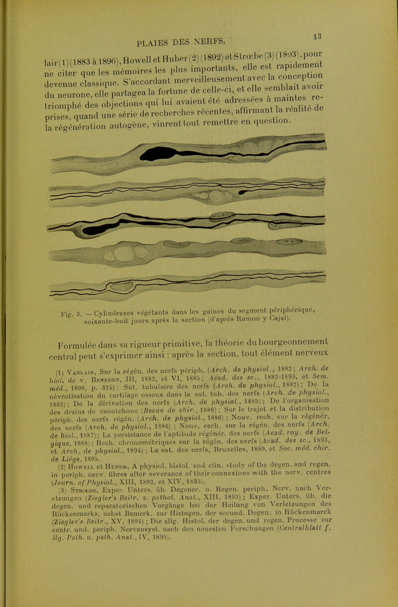 l»ir.' 1V1883 à 1896-.,llowellet Hubcr: 2} .1892}aMUrœbe(3/(1803%pour que es n émoires les plus importants, elle es rapulem „t Avenue classique. S'accordant ^««^^^P^ du neurone, elle partagea la fortune de celle-ci et elle »mt ait avo triomphé des objections qui lui avaient été adressées a mainte >e p S quand uni série de recherches récentes, affirmant la réalité de L régénération autogène, vinrent tout remettre en question. Yig 3 _ Cylindraxes végétants dans les gaines du segment périphérique, soixante-huit jours après la section (d'après Ramon y Cajal). Formulée dans sa rigueur primitive, La théorie du bourgeonnement central peut s'exprimer ainsi : après La section, tout élément nerveux (1) Vanlair, Sur la régén. des nerfs périph. (Arch. de physiol., 1882 ; Arch de hiol. de v. Beneden, III, 1882, et VI, 1885 ; Acad. des se, 1882-1893 et Sem. méd 1896 p. 324); Sut. tubulaire des nerfs (Arch. de physwl, 1882) ; De la névrotisation du cartilage osseux dans la sut. tub. des nerfs (Arch. de physiol., 1882) • De la dérivation des nerfs (Arch. de physiol., 1885); De l'organisation des drains de caoutchouc [Revue de chir., 1886); Sur le trajet et la distribution périph. des nerfs régén. (Arch. de physiol., 1886) ; Nouv. rech. sur la régener. des nerfs (Arch. de physiol., 1S«6) ; Nouv. rech. sur la régén. des nerfs (Arch. de hiol., 1S87); La persistance de l'aptitude regénér. des nerfs (Acad. roy. de Bel- qique 1888)- Rech. chronométriques sur la régén. des nerfs (Acad. des se, 1893, et Arch, de physiol, 1894) ; La sut. des nerfs, Bruxelles, 1889, et Soc. méd. chir. de Liège,1895. (2) Howei.l et Hubeb, A physiol. histol. ond clin, study of the degen. and regen. in periph. nerv. fibres after severance of their connexions wilh the nerv. centres (Journ. of Physiol., XIII, 1S92, et XIV, 1893). (3) Stroebe, Exper. Unters. ùb. Degener. u. Regen. periph. Nerv. nach Ver- etzungen (Ziegler's Beilr. z. pathol. Anal., XIII, 1893); Exper. Unters. ùb. die degen. und reparatorischen Vorgange bei der Heilung von Verletzungen des Rùckenmarks, nebst Bemerk. zur Histogen. der secund. Degen. in Riïckenmarck (Ziegler's Beilr., XV, 1894) ; Die allg. Histol. der degen. und regen. Processe zur centr. und. periph. Nervensyst. nach den neuesten Forschungen (Cenlra.lbla.ll f. ttff. Palh. u. palh. Anat., IV, 1895).