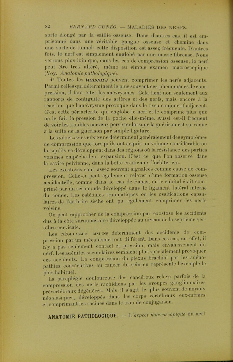 sorte élongé par la saillie osseuse. Dans d'autres cas, il est em- prisonné dans une véritable gangue osseuse et chemine dans une sorte de tunnel; cette disposition est assez fréquente. D'autres J'ois, le nerf est simplement englobé par une masse fibreuse. Nous verrons plus loin que, dans les cas de compression osseuse, le nerf peut être très altéré, môme au simple examen macroscopique i Voy. Anatomiepathologique). 1° Toutes les tumeurs peuvent comprimer les nerfs adjacents. Parmi celles qui déterminent le plus souvent ces phénomènes de com- pression, il faut citer les anévrysmes. Cela tient non .seulement aux rapports de contiguïté des artères et des nerfs, mais encore à la réaction que l'anévrysme provoque dans le tissu conjonctif adjacent. C'est cette périartérite qui englobe le nerf et le comprime plus que ne le fait la pression de la poche elle-même. Aussi est-il fréquenl de voir les troubles nerveux persister lorsque la guérison est survenue à la suite de la guérison par simple ligature. Les néoplasmes bénins ne déterminent généralement des symptômes de compression que lorsqu'ils ont acquis un volume considérable ou lorsqu'ils se développent dans des régions où la résistance des partie- voisines empêche leur expansion. C'est ce que l'on observe dans la cavité pelvienne, dans la boite crânienne, l'orbite, etc. Les exostoses sont assez souvent signalées comme cause de com- pression. Celle-ci peut également relever d'une formation osseuse accidentelle, comme dans le cas de Panas, où le cubital était com- primé par un sésamoïde développé dans le ligament latéral interne du coude. Les ostéomes traumatiques ou les ossifications capsu- laires de l'arthrite sèche ont pu également comprimer les nerfs voisins. On peut rapprocher de la compression par exoslose les accidents dus à la côte surnuméraire développée au niveau de la septième ver- tèbre cervicale. Les néoplasmes MALitfs déterminent des accidents de com- pression parmi mécanisme tout différent. Dans ces cas, en effet, il n'y a pas seulement contact et pression, mais envahissement du nerf. Les adénites secondaires semblent plus spécialement provoquer ces accidents. La compression du plexus brachial par les adéno- pathies consécutives au cancer du sein en représente l'exemple le plus habituel. La paraplégie douloureuse des cancéreux relève parfois de la •compression des nerfs rachidiens par les groupes ganglionnaire, prévertébraux dégénérés. Mais il s'agit le plus souvent, de noyaux néoplasiques, développés dans les corps vertébraux eux-mêmes .et comprimant les racines dans le trou de conjugaison. ANATOMIE PATHOLOGIQUE. — L'aspect macroscopique du nerf