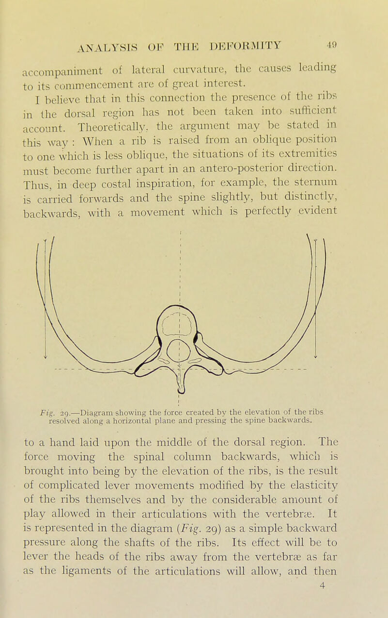 accompaniment of lateral curvature, the causes leading to its commencement are of great interest. I believe that in this connection the presence of the ribs in the dorsal region has not been taken into sufficient account. Theoretically., the argument may be stated in this way : When a rib is raised from an oblique position to one which is less oblique, the situations of its extremities must become further apart in an antero-posterior direction. Thus, in deep costal inspiration, for example, the sternum is carried forwards and the spine slightly, but distinctly, backwards, with a movement which is perfectly evident Fig. 29.—Diagram showing the force created by the elevation of the ribs resolved along a horizontal plane and pressing the spine backwards. to a hand laid upon the middle of the dorsal region. The force moving the spinal column backwards, which is brought into being by the elevation of the ribs, is the result of complicated lever movements modified by the elasticity of the ribs themselves and by the considerable amount of play allowed in their articulations with the vertebras. It is represented in the diagram {Fig. 29) as a simple backward pressure along the shafts of the ribs. Its effect will be to lever the heads of the ribs away from the vertebrae as far as the ligaments of the articulations will allow, and then 4