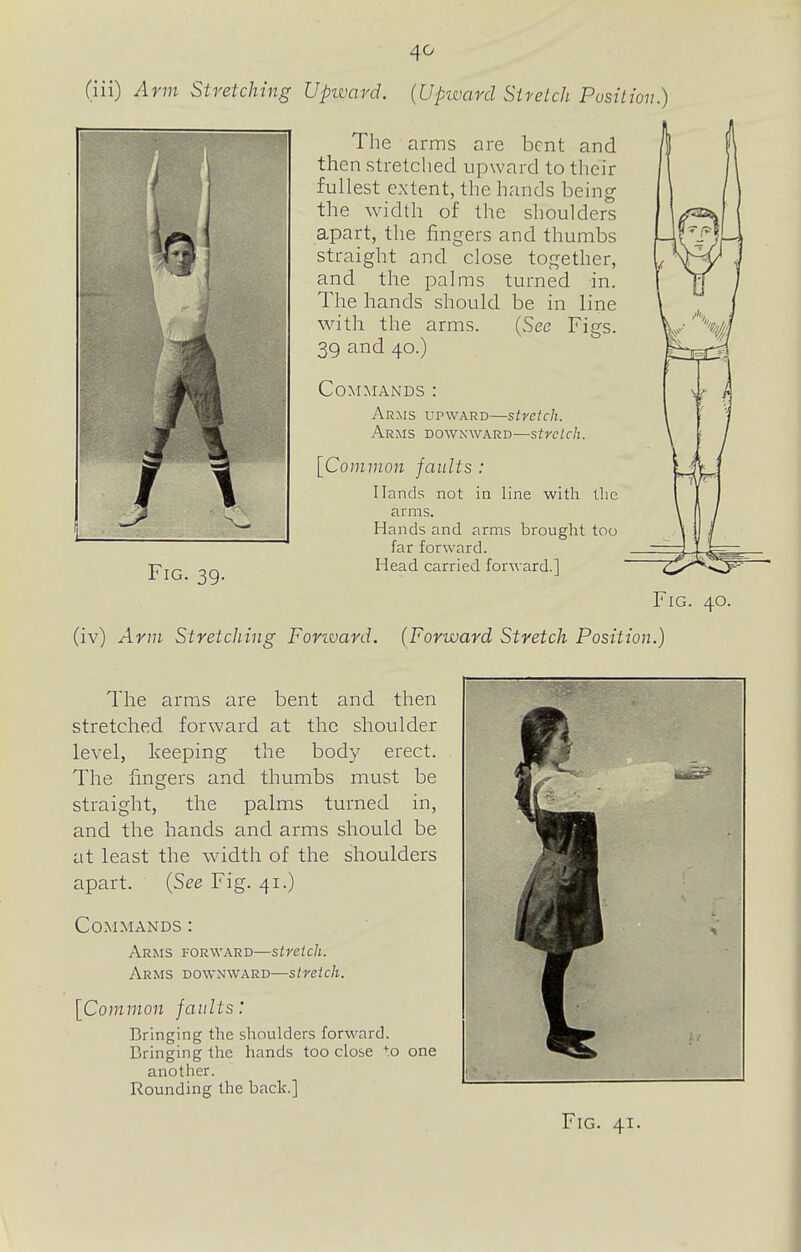 (iii) Arm Stretching Upward. (Upivard Stretch Position.) Fig. 39. The arms are bent and then stretched upward to their fullest extent, the hands being the width of the shoulders apart, the fingers and thumbs straight and close together, and the palms turned in. The hands should be in line with the arms. (See Figs. 39 and 40.) Commands : Arms upward—stretch. Arms downward—stretch. [Common faults : Hands not in line with the arms. Hands and arms brought too far forward. Head carried forward.] (iv) Arm Stretching Forivard. (Forward Stretch Position.) The arms are bent and then stretched forward at the shoulder level, keeping the body erect. The fingers and thumbs must be straight, the palms turned in, and the hands and arms should be at least the width of the shoulders apart. (See Fig. 41.) Commands : Arms forward—stretch. Arms downward—stretch. [Common faults: Bringing the shoulders forward. Bringing the hands too close *:o one another. Rounding the back.]