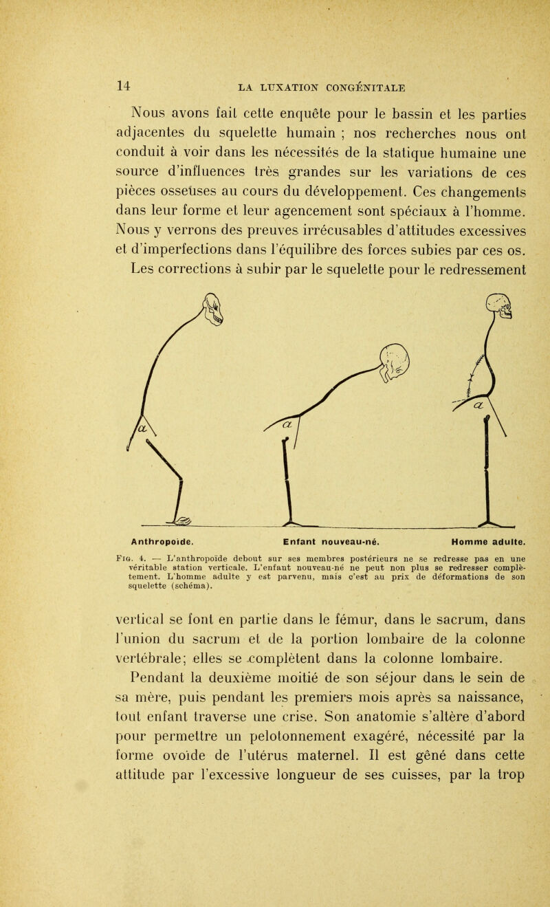 Nous avons fail cette enquête pour le bassin et les parties adjacentes du squelette humain ; nos recherches nous ont conduit à voir dans les nécessités de la statique humaine une source d'influences très grandes sur les variations de ces pièces osselises au cours du développement. Ces changements dans leur forme et leur agencement sont spéciaux à l'homme. Nous y verrons des preuves, irrécusables d'attitudes excessives et d'imperfections dans l'équilibre des forces subies par ces os. Les corrections à subir par le squelette pour le redressement Anthropoïde. Enfant nouveau-né. Homme adulte. Fig. 4. — L'anthropoïde debout sur ses membres postérieurs ne se redresse pas en une véritable station verticale. L'enfaut nouveau-né ne peut non plus se redresser complè- tement. L'homme adulte y est parvenu, mais c'est au prix de déformations de son squelette (schéma). vertical se font en partie dans le fémur, dans le sacrum, dans l'union du sacrum et de la portion lombaire de la colonne vertébrale; elles se -complètent dans la colonne lombaire. Pendant la deuxième moitié de son séjour dana le sein de sa mère, puis pendant les premiers mois après sa naissance, tout enfant traverse une crise. Son anatomie s'altère d'abord pour permettre un pelotonnement exagéré, nécessité par la forme ovoide de l'utérus maternel. Il est gêné dans cette attitude par l'excessive longueur de ses cuisses, par la trop