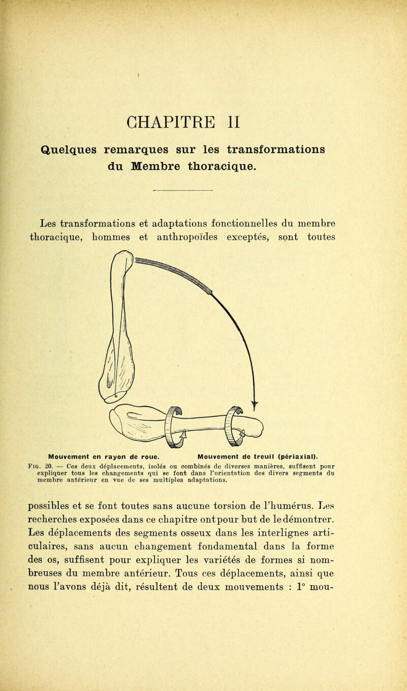 CHAPITRE II Quelques remarques sur les transformations du Membre thoracique. Les transformations et adaptations fonctionnelles du membre thoracique, hommes et anthropoïdes exceptés, sont toutes Mouvement en rayon de roue. Mouvement de treuil (périaxial). Fig. 20. — Ces deux déplacements, isolés ou combinés de diverses manières, suffisent pour expliquer tous les changements qui se font dans l'orientation des divers segments du membre antérieur en vue de ses multiples adaptations. possibles et se font toutes sans aucune torsion de l'humérus. Les recherches exposées dans ce chapitre ont pour but de le démontrer. Les déplacements des segments osseux dans les interlignes arti- culaires, sans aucun changement fondamental dans la forme des os, suffisent pour expliquer les variétés de formes si nom- breuses du membre antérieur. Tous ces déplacements, ainsi que nous l'avons déjà dit, résultent de deux mouvements : 1° mou-