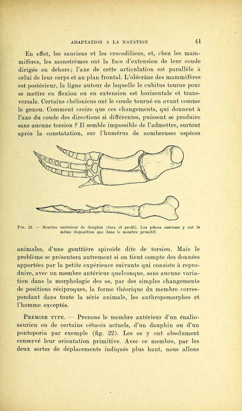 En effet, les sauriens et les crocodiliens, et, chez les mam- mifères, les monotrèmes ont la face d'extension de leur coude dirigée en dehors ; l'axe de cette articulation est parallèle à celui de leur corps et au plan frontal. L'olécrâne des mammifères est postérieur, la ligne autour de laquelle le cubitus tourne pour se mettre en flexion ou en extension est horizontale et trans- versale. Certains chéloniens ont le coude tourné en avant comme le genou. Comment croire que ces changements, qui donnent à l'axe du coude des directions si différentes, puissent se produire sans aucune torsion ? Il semble impossible de l'admettre, surtout après la constatation, sur l'humérus de nombreuses espèces Fig. 22. — Membre antérieur de dauphin (face et profil). Les pièces osseuses y ont la même disposition que dans le membre primitif. animales, d'une gouttière spiroïde dite de torsion. Mais le problème se présentera autrement si on tient compte des données apportées par la petite expérience suivante qui consiste à repro- duire, avec un membre antérieur quelconque, sans aucune varia- tion dans la morphologie des os, par des simples changements de positions réciproques, la forme théorique du membre corres- pondant dans toute la série animale, les anthropomorphes et l'homme exceptés. Premier type. — Prenons le membre antérieur d'un énalio- saurien ou de certains cétacés actuels, d'un dauphin ou d'un pontoporia par exemple (fig. 22). Les os y ont absolument conservé leur orientation primitive. Avec ce membre, par les deux sortes de déplacements indiqués plus haut, nous allons