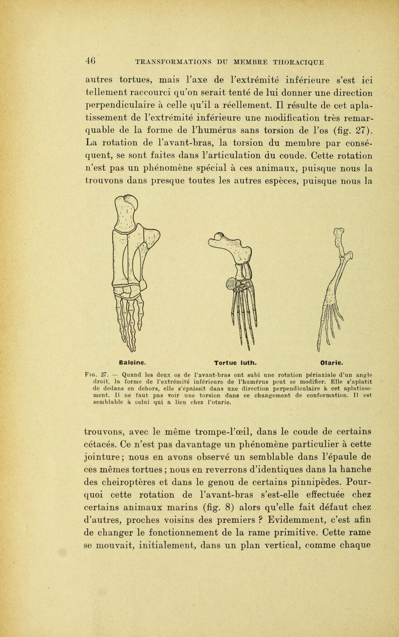 autres tortues, mais l'axe de l'extrémité inférieure s'est ici tellement raccourci qu'on serait tenté de lui donner une direction perpendiculaire à celle qu'il a réellement. Il résulte de cet apla- tissement de l'extrémité inférieure une modification très remar- quable de la forme de l'humérus sans torsion de l'os (fig. 27). La rotation de l'avant-bras, la torsion du membre par consé- quent, se sont faites dans l'articulation du coude. Cette rotation n'est pas un phénomène spécial à ces animaux, puisque nous la trouvons dans presque toutes les autres espèces, puisque nous la Baleine. Tortue luth. Otarie. FfG. 27. — Quand les deux os de l'avant-bras ont subi une rotation périaxiale d'un angle droit, la forme de l'extrémité inférieure de l'humérus peut se modifier. Elle s'aplatit de dedans en dehors, elle s'épaissit dans une direction perpendiculaire à cet aplatisse- ment. Il ne faut pas voir une torsion dans ce changement de conformation. Il est semblable à celui qui a lieu chez l'otarie. trouvons, avec le même trompe-l'œil, dans le coude de certains cétacés. Ce n'est pas davantage un phénomène particulier à cette jointure; nous en avons observé un semblable dans l'épaule de ces mêmes tortues ; nous en reverrons d'identiques dans la hanche des chéiroptères et dans le genou de certains pinnipèdes. Pour- quoi cette rotation de l'avant-bras s'est-elle effectuée chez certains animaux marins (fig. 8) alors qu'elle fait défaut chez d'autres, proches voisins des premiers ? Evidemment, c'est afin de changer le fonctionnement de la rame primitive. Cette rame se mouvait, initialement, dans un plan vertical, comme chaque