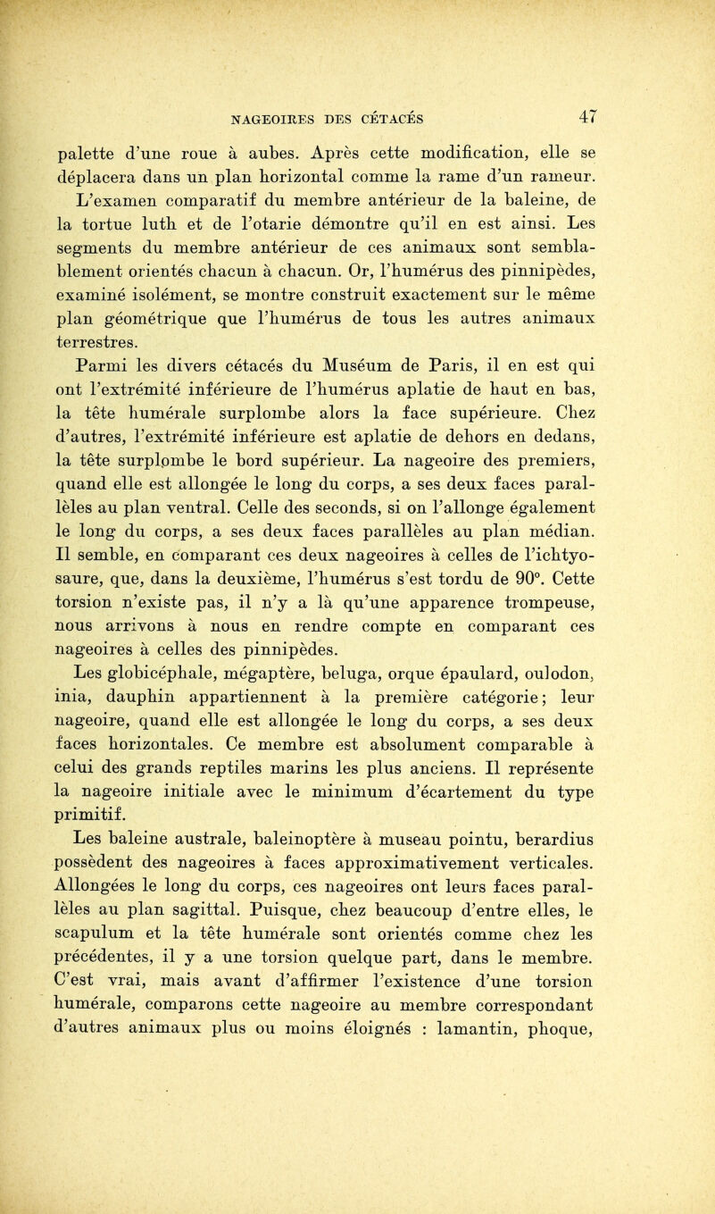 palette d'une roue à aubes. Après cette modification, elle se déplacera dans un plan horizontal comme la rame d'un rameur. L'examen comparatif du membre antérieur de la baleine, de la tortue luth, et de l'otarie démontre qu'il en est ainsi. Les segments du membre antérieur de ces animaux sont sembla- blement orientés chacun à chacun. Or, l'humérus des pinnipèdes, examiné isolément, se montre construit exactement sur le même plan géométrique que l'humérus de tous les autres animaux terrestres. Parmi les divers cétacés du Muséum de Paris, il en est qui ont l'extrémité inférieure de l'humérus aplatie de haut en bas, la tête humérale surplombe alors la face supérieure. Chez d'autres, l'extrémité inférieure est aplatie de dehors en dedans, la tête surplombe le bord supérieur. La nageoire des premiers, quand elle est allongée le long du corps, a ses deux faces paral- lèles au plan ventral. Celle des seconds, si on l'allonge également le long du corps, a ses deux faces parallèles au plan médian. Il semble, en comparant ces deux nageoires à celles de l'ichtyo- saure, que, dans la deuxième, l'humérus s'est tordu de 90°. Cette torsion n'existe pas, il n'y a là qu'une apparence trompeuse, nous arrivons à nous en rendre compte en comparant ces nageoires à celles des pinnipèdes. Les globicéphale, mégaptère, béluga, orque épaulard, oulodon, inia, dauphin appartiennent à la première catégorie; leur nageoire, quand elle est allongée le long du corps, a ses deux faces horizontales. Ce membre est absolument comparable à celui des grands reptiles marins les plus anciens. Il représente la nageoire initiale avec le minimum d'écartement du type primitif. Les baleine australe, baleinoptère à museau pointu, berardius possèdent des nageoires à faces approximativement verticales. Allongées le long du corps, ces nageoires ont leurs faces paral- lèles au plan sagittal. Puisque, chez beaucoup d'entre elles, le scapulum et la tête humérale sont orientés comme chez les précédentes, il y a une torsion quelque part, dans le membre. C'est vrai, mais avant d'affirmer l'existence d'une torsion humérale, comparons cette nageoire au membre correspondant d'autres animaux plus ou moins éloignés : lamantin, phoque,