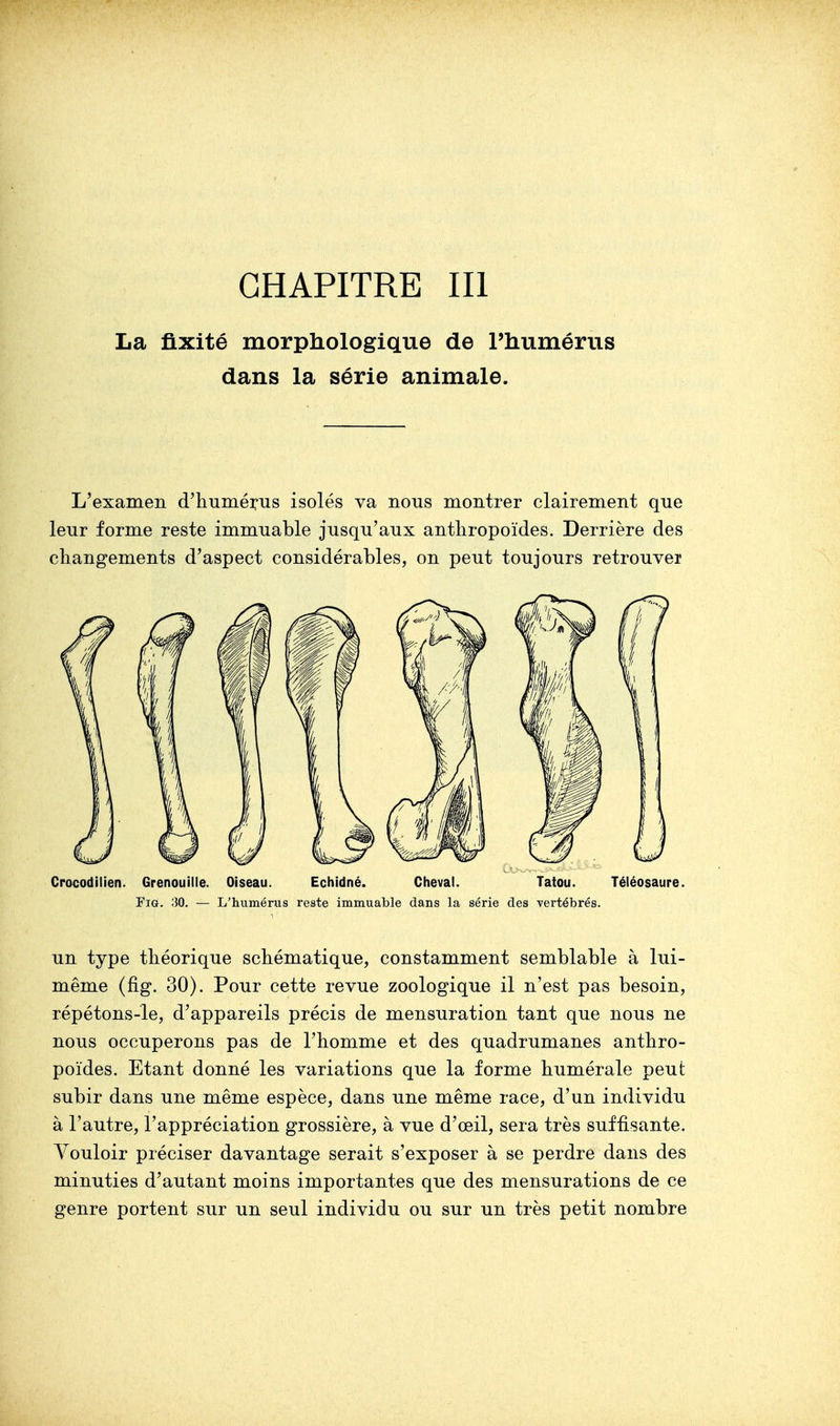 CHAPITRE III La fixité morphologique de l'humérus dans la série animale. L'examen d'humérus isolés va nous montrer clairement que leur forme reste immuable jusqu'aux anthropoïdes. Derrière des changements d'aspect considérables, on peut toujours retrouver Crocodilien. Grenouille. Oiseau. Echidné. Cheval. Tatou. Téléosaure. Fig. 30. — L'humérus reste immuable dans la série des vertébrés. un type théorique schématique, constamment semblable à lui- même (fig. 30). Pour cette revue zoologique il n'est pas besoin, répétons-le, d'appareils précis de mensuration tant que nous ne nous occuperons pas de l'homme et des quadrumanes anthro- poïdes. Etant donné les variations que la forme humérale peut subir dans une même espèce, dans une même race, d'un individu à l'autre, l'appréciation grossière, à vue d'œil, sera très suffisante. Vouloir préciser davantage serait s'exposer à se perdre dans des minuties d'autant moins importantes que des mensurations de ce genre portent sur un seul individu ou sur un très petit nombre