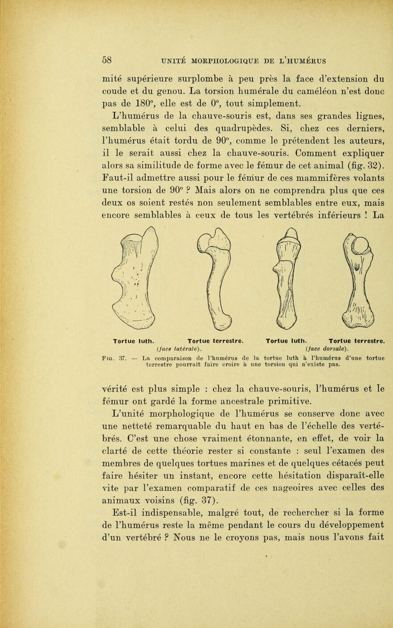 mité supérieure surplombe à peu près la face d'extension du coude et du genou. La torsion numérale du caméléon n'est donc pas de 180°, elle est de 0°, tout simplement. L'humérus de la chauve-souris est, dans ses grandes lignes, semblable à celui des quadrupèdes. Si, chez ces derniers, l'humérus était tordu de 90°, comme le prétendent les auteurs, il le serait aussi chez la chauve-souris. Comment expliquer alors sa similitude de forme avec le fémur de cet animal (fig. 32). Faut-il admettre aussi pour le fémur de ces mammifères volants une torsion de 90° ? Mais alors on ne comprendra plus que ces deux os soient restés non seulement semblables entre eux, mais encore semblables à ceux de tous les vertébrés inférieurs î La Tortue luth. Tortue terrestre. Tortue luth. Tortue terrestre. {face latérale). {face dorsale). Fig. 37. — La comparaison de l'humérus de la tortue luth à l'humérus d'une tortue terrestre pourrait faire croire à une torsion qui n'existe pas. vérité est plus simple : chez la chauve-souris, l'humérus et le fémur ont gardé la forme ancestrale primitive. L'unité morphologique de l'humérus se conserve donc avec une netteté remarquable du haut en bas de l'échelle des verté- brés. C'est une chose vraiment étonnante, en effet, de voir la clarté de cette théorie rester si constante : seul l'examen des membres de quelques tortues marines et de quelques cétacés peut faire hésiter un instant, encore cette hésitation disparaît-elle vite par l'examen comparatif de ces nageoires avec celles des animaux voisins (fig. 37). Est-il indispensable, malgré tout, de rechercher si la forme de l'humérus reste la même pendant le cours du développement d'un vertébré ? Nous ne le croyons pas, mais nous l'avons fait