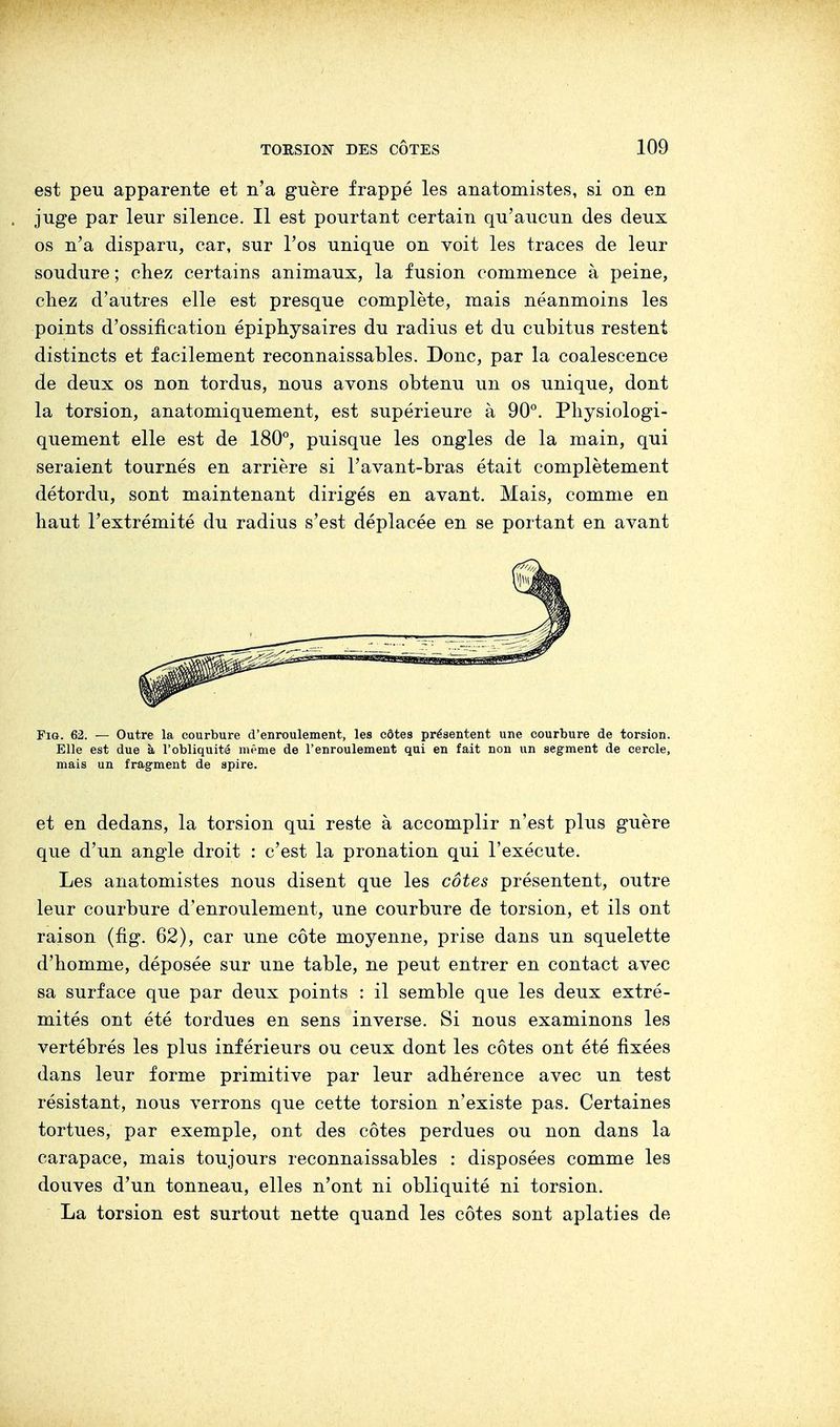 est peu apparente et n'a guère frappé les anatomistes, si on en juge par leur silence. Il est pourtant certain qu'aucun des deux os n'a disparu, car, sur l'os unique on voit les traces de leur soudure ; chez certains animaux, la fusion commence à peine, chez d'autres elle est presque complète, mais néanmoins les points d'ossification épiphysaires du radius et du cubitus restent distincts et facilement reconnaissables. Donc, par la coalescence de deux os non tordus, nous avons obtenu un os unique, dont la torsion, anatomiquement, est supérieure à 90°. Physiologi- quement elle est de 180°, puisque les ongles de la main, qui seraient tournés en arrière si l'avant-bras était complètement détordu, sont maintenant dirigés en avant. Mais, comme en haut l'extrémité du radius s'est déplacée en se portant en avant Fig. 62. — Outre la courbure d'enroulement, les côtes présentent une courbure de torsion. Elle est due à l'obliquité même de l'enroulement qui en fait non un segment de cercle, mais un fragment de spire. et en dedans, la torsion qui reste à accomplir n'est plus guère que d'un angle droit : c'est la pronation qui l'exécute. Les anatomistes nous disent que les côtes présentent, outre leur courbure d'enroulement, une courbure de torsion, et ils ont raison (fig. 62), car une côte moyenne, prise dans un squelette d'homme, déposée sur une table, ne peut entrer en contact avec sa surface que par deux points : il semble que les deux extré- mités ont été tordues en sens inverse. Si nous examinons les vertébrés les plus inférieurs ou ceux dont les côtes ont été fixées dans leur forme primitive par leur adhérence avec un test résistant, nous verrons que cette torsion n'existe pas. Certaines tortues, par exemple, ont des côtes perdues ou non dans la carapace, mais toujours reconnaissables : disposées comme les douves d'un tonneau, elles n'ont ni obliquité ni torsion. La torsion est surtout nette quand les côtes sont aplaties de