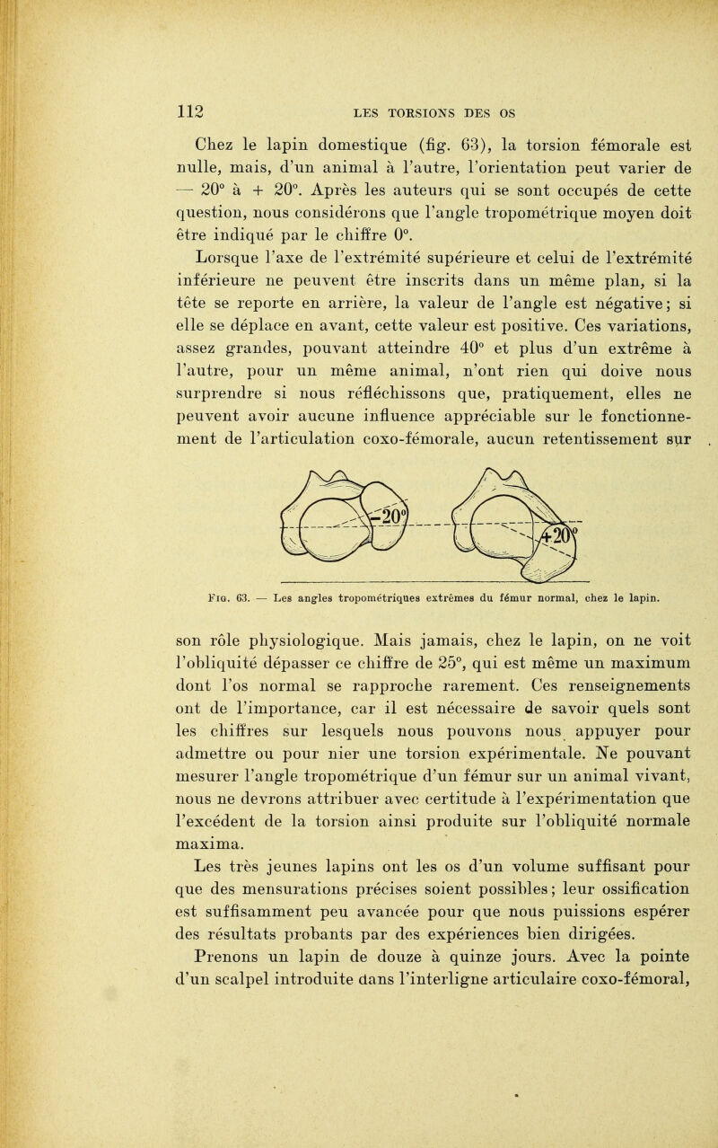 Chez le lapin domestique (fig. 63), la torsion fémorale est nulle, mais, d'un animal à l'autre, l'orientation peut varier de — 20° à + 20°. Après les auteurs qui se sont occupés de cette question, nous considérons que l'angle tropométrique moyen doit être indiqué par le chiffre 0°. Lorsque l'axe de l'extrémité supérieure et celui de l'extrémité inférieure ne peuvent être inscrits dans un même plan, si la tête se reporte en arrière, la valeur de l'angle est négative; si elle se déplace en avant, cette valeur est positive. Ces variations, assez grandes, pouvant atteindre 40° et plus d'un extrême à l'autre, pour un même animal, n'ont rien qui doive nous surprendre si nous réfléchissons que, pratiquement, elles ne peuvent avoir aucune influence appréciable sur le fonctionne- ment de l'articulation coxo-fémorale, aucun retentissement sur Fig. 63. — Les angles tropométriques extrêmes du fémur normal, chez le lapin. son rôle physiologique. Mais jamais, chez le lapin, on ne voit l'obliquité dépasser ce chiffre de 25°, qui est même un maximum dont l'os normal se rapproche rarement. Ces renseignements ont de l'importance, car il est nécessaire de savoir quels sont les chiffres sur lesquels nous pouvons nous appuyer pour admettre ou pour nier une torsion expérimentale. ~Ne pouvant mesurer l'angle tropométrique d'un fémur sur un animal vivant, nous ne devrons attribuer avec certitude à l'expérimentation que l'excédent de la torsion ainsi produite sur l'obliquité normale maxima. Les très jeunes lapins ont les os d'un volume suffisant pour que des mensurations précises soient possibles ; leur ossification est suffisamment peu avancée pour que nous puissions espérer des résultats probants par des expériences bien dirigées. Prenons un lapin de douze à quinze jours. Avec la pointe d'un scalpel introduite dans l'interligne articulaire coxo-f émoral,