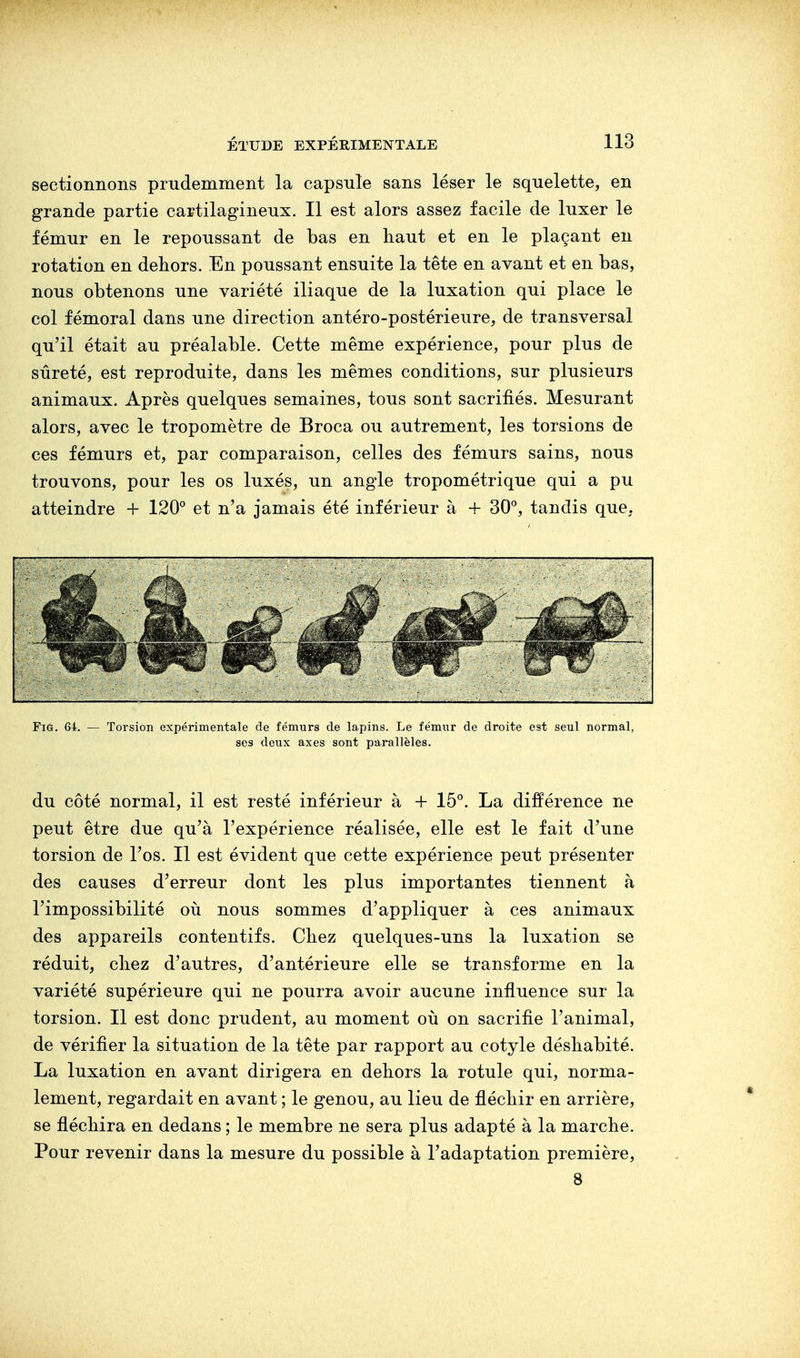 sectionnons prudemment la capsule sans léser le squelette, en grande partie cartilagineux. Il est alors assez facile de luxer le fémur en le repoussant de bas en haut et en le plaçant en rotation en dehors. En poussant ensuite la tête en avant et en bas, nous obtenons une variété iliaque de la luxation qui place le col fémoral dans une direction antéro-postérieure, de transversal qu'il était au préalable. Cette même expérience, pour plus de sûreté, est reproduite, dans les mêmes conditions, sur plusieurs animaux. Après quelques semaines, tous sont sacrifiés. Mesurant alors, avec le tropomètre de Broca ou autrement, les torsions de ces fémurs et, par comparaison, celles des fémurs sains, nous trouvons, pour les os luxés, un angle tropométrique qui a pu atteindre 4- 120° et n'a jamais été inférieur à + 30°, tandis que. Fig. 64. — Torsion expérimentale de fémurs de lapins. Le fémur de droite est seul normal, ses deux axes sont parallèles. du côté normal, il est resté inférieur à + 15°. La différence ne peut être due qu'à l'expérience réalisée, elle est le fait d'une torsion de l'os. Il est évident que cette expérience peut présenter des causes d'erreur dont les plus importantes tiennent à l'impossibilité où nous sommes d'appliquer à ces animaux des appareils contentifs. Chez quelques-uns la luxation se réduit, chez d'autres, d'antérieure elle se transforme en la variété supérieure qui ne pourra avoir aucune influence sur la torsion. Il est donc prudent, au moment où on sacrifie l'animal, de vérifier la situation de la tête par rapport au cotyle déshabité. La luxation en avant dirigera en dehors la rotule qui, norma- lement, regardait en avant ; le genou, au lieu de fléchir en arrière, se fléchira en dedans ; le membre ne sera plus adapté à la marche. Pour revenir dans la mesure du possible à l'adaptation première, 8
