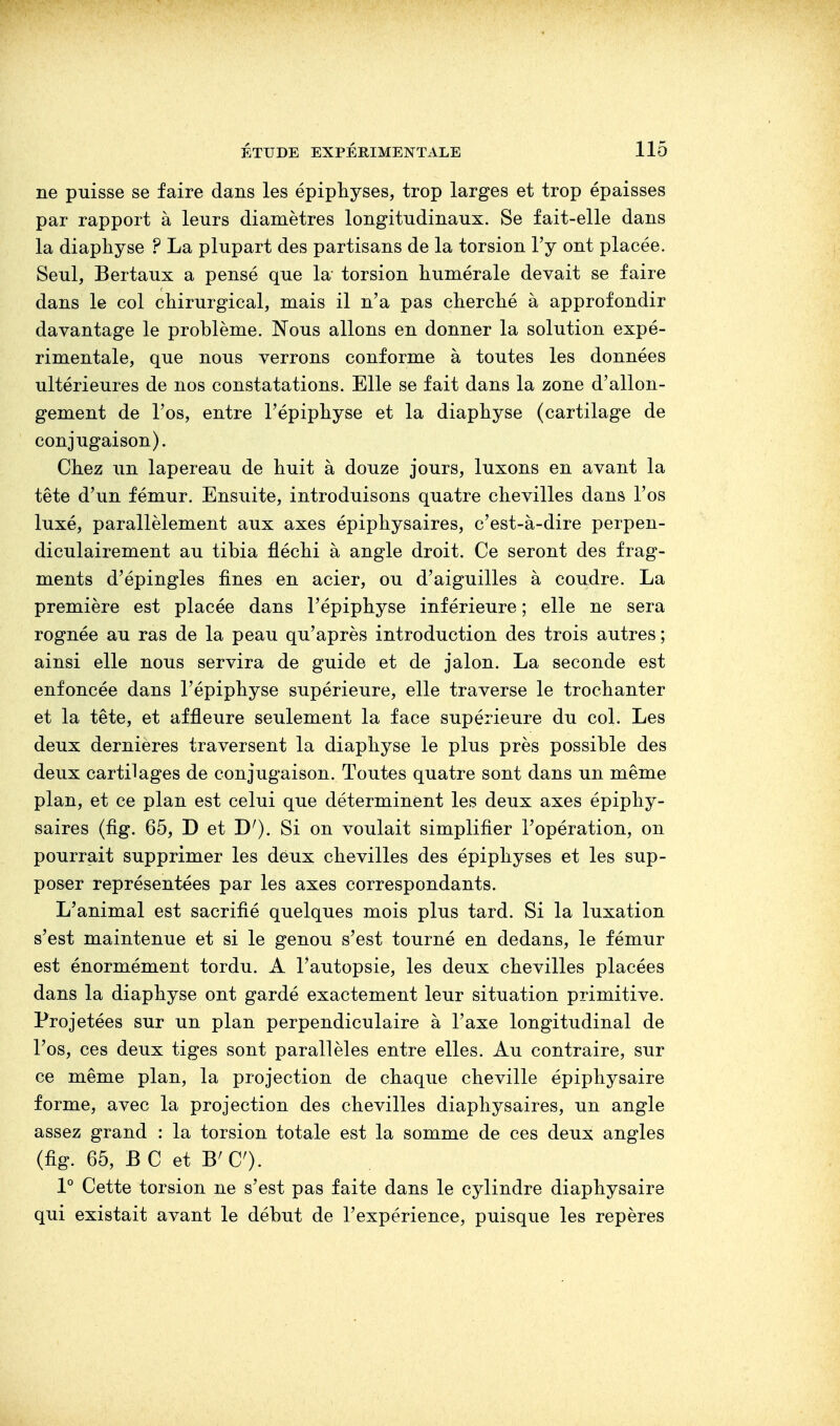 ne puisse se faire dans les épiphyses, trop larges et trop épaisses par rapport à leurs diamètres longitudinaux. Se fait-elle dans la diaphyse ? La plupart des partisans de la torsion l'y ont placée. Seul, Bertaux a pensé que la torsion numérale devait se faire dans le col chirurgical, mais il n'a pas cherché à approfondir davantage le problème. Nous allons en donner la solution expé- rimentale, que nous verrons conforme à toutes les données ultérieures de nos constatations. Elle se fait dans la zone d'allon- gement de l'os, entre l'épiphyse et la diaphyse (cartilage de conjugaison). Chez un lapereau de huit à douze jours, luxons en avant la tête d'un fémur. Ensuite, introduisons quatre chevilles dans l'os luxé, parallèlement aux axes épiphysaires, c'est-à-dire perpen- diculairement au tibia fléchi à angle droit. Ce seront des frag- ments d'épingles fines en acier, ou d'aiguilles à coudre. La première est placée dans l'épiphyse inférieure ; elle ne sera rognée au ras de la peau qu'après introduction des trois autres ; ainsi elle nous servira de guide et de jalon. La seconde est enfoncée dans l'épiphyse supérieure, elle traverse le trochanter et la tête, et affleure seulement la face supérieure du col. Les deux dernières traversent la diaphyse le plus près possible des deux cartilages de conjugaison. Toutes quatre sont dans un même plan, et ce plan est celui que déterminent les deux axes épiphy- saires (fig. 65, D et D'). Si on voulait simplifier l'opération, on pourrait supprimer les deux chevilles des épiphyses et les sup- poser représentées par les axes correspondants. L'animal est sacrifié quelques mois plus tard. Si la luxation s'est maintenue et si le genou s'est tourné en dedans, le fémur est énormément tordu. A l'autopsie, les deux chevilles placées dans la diaphyse ont gardé exactement leur situation primitive. Projetées sur un plan perpendiculaire à l'axe longitudinal de l'os, ces deux tiges sont parallèles entre elles. Au contraire, sur ce même plan, la projection de chaque cheville épiphysaire forme, avec la projection des chevilles diaphysaires, un angle assez grand : la torsion totale est la somme de ces deux angles (fig. 65, BC et B'C). 1° Cette torsion ne s'est pas faite dans le cylindre diaphysaire qui existait avant le début de l'expérience, puisque les repères