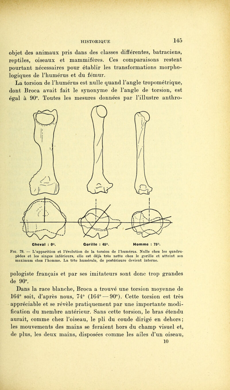 objet des animaux pris dans des classes différentes, batraciens, reptiles, oiseaux et mammifères. Ces comparaisons restent pourtant nécessaires pour établir les transformations morpho- logiques de l'humérus et du fémur. La torsion de l'humérus est nulle quand l'angle tropométrique, dont Broca avait fait le synonyme de l'angle de torsion, est égal à 90°. Toutes les mesures données par l'illustre anthro- Gorille : 45°. Fig. 79. — L'apparition et l'évolution de la torsion de l'humérus. Nulle chez les quadru- pèdes et les singes inférieurs, elle est déjà très nette chez le gorille et atteint son maximum chez l'homme. La tête numérale, de postérieure devient interne. pologiste français et par ses imitateurs sont donc trop grandes de 90°. Dans la race blanche, Broca a trouvé une torsion moyenne de 164° soit, d'après nous, 74° (164° — 90°). Cette torsion est très appréciable et se révèle pratiquement par une importante modi- fication du membre antérieur. Sans cette torsion, le bras étendu aurait, comme chez l'oiseau, le pli du coude dirigé en dehors ; les mouvements des mains se feraient hors du champ visuel et, de plus, les deux mains, disposées comme les ailes d'un oiseau, 10