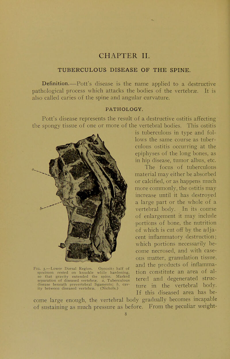 CHAPTER II. TUBERCULOUS DISEASE OF THE SPINE. Definition.—Pott's disease is the name applied to a destructive pathological process which attacks the bodies of the vertebrae. It is also called caries of the spine and angular curvature. PATHOLOGY. Pott's disease represents the result of a destructive ostitis affecting the spongy tissue of one or more of the vertebral bodies. This ostitis is tuberculous in type and fol- lows the same course as tuber- culous ostitis occurring at the epiphyses of the long bones, as in hip disease, tumor albus, etc. The focus of tuberculous material may either be absorbed or calcified, or as happens much more commonly, the ostitis may increase until it has destroyed a large part or the whole of a vertebral body. In its course of enlargement it may include portions of bone, the nutrition of which is cut off by the adja- cent inflammatory destruction; which portions necessarily be- come necrosed, and with case- ous matter, granulation tissue, and the products of inflamma- tion constitute an area of al- tered and degenerated struc- ture in the vertebral body. If this diseased area has be- come large enough, the vertebral body gradually becomes incapable of sustaining as much pressure as before. From the peculiar weight- 8 Fic. 3.—Lower Dorsal Region. Opposite half of specimen rested on knuckle while hardening, so that gravity extended the spine. Marked separation of diseased vertebra;, a, Tuberculous disease beneath prevertebral ligaments; b, cav- ity between diseased vertebra;. (Nichols.)