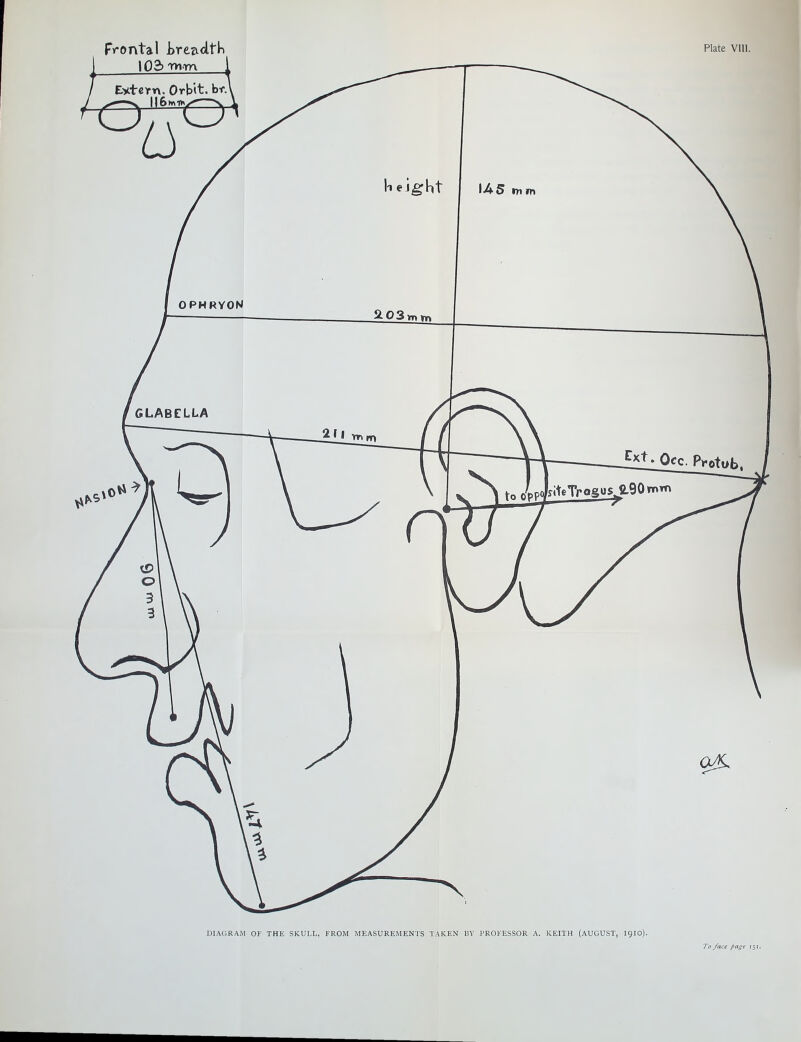 Frontal trezidtK Plate viii. DIAGRAM OF THE SKULL, FROM MEASUREMENTS TAKEN BV PROFESSOR A. KEITH (AUGUST, 1910}. To face page 151.