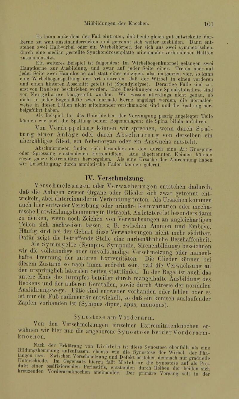 Es kann außerdem der Fall eintreten, daß beide gleich gut entwickelte Vor- kerne zu weit auseinanderrücken und getrennt sich weiter ausbilden. Dann ent- stehen zwei Halbwirbel oder ein Wirbelkörper, der sich aus zwei symmetrischen, durch eine median gestellte Synchondi-osenplatte miteinander verbundenen Hälften zusammensetzt. Ein weiteres Beispiel ist folgendes: Im Wirbelbogenknorpel gelangen zwei Hauptkerne zur Ausbildung, und zwar auf jeder Seite einer. Treten aber auf jeder Seite zwei Hauptkerne auf statt eines einzigen, also im ganzen vier, so kann eine Wirbelbogenspaltung der Art eintreten, daß der Wirbel in einen vorderen und einen hinteren Abschnitt geteilt ist (Spondylolyse). Derartige Fälle sind zu- erst von Raub er beschrieben worden. Ihre Beziehungen zur Spondylolisthese sind von Neugebauer klargestellt worden. Wir wissen allerdings nicht genau, ob nicht in jeder Bogenhälfte zwei normale Kerne angelegt werden, die normaler- weise in diesen Fällen nicht miteinander verschmolzen sind und die Spaltung her- beigeführt haben. Als Beispiel für das Unterbleiben der Vereinigung paai-ig angelegter Teile können wir auch die Spaltung beider Bogenanlagen: die Spina bifida anführen. Von Verdoppelung können wir sprechen, wenn durch Spal- tung einer Anlage oder durch Abschnürung von derselben ein überzähliges Glied, ein Nebenorgan oder ein Auswuchs entsteht. Abschnürungen finden sich besonders an den durch eine Art Knospung oder Sprossung entstandenen Extremitäten. Aus abgetrennten Keimen können sogar ganze Extremitäten hervorgehen. Als eine Ursache der Abtrennung haben wir Umschlingung durch amniotische Fäden kennen gelernt. IV. Verschmelzung. Verschmelzungen oder Verwachsungen entstehen dadurch, daß die Anlagen zweier Organe oder Glieder sich zwar getrennt ent- wickeln, aber untereinander in Verbindung treten. Als Ursachen kommen auch hier entweder Vererbung oder primäre Keimvariation oder mecha- nische Entwicklungshemmung in Betracht. An letztere ist besonders dann zu denken, wenn noch Zeichen von Verwachsungen an ungleichartigen Teilen sich nachweisen lassen, z. B. zwischen Amnion und Embryo. Häufig sind bei der Geburt diese Verwachsungen nicht mehr sichtbar. Dafür zeigt die betreffende Stelle eine narbenähnliche Beschaffenheit. _ Als Symmyelie (Sympus, Sympodie, Sirenenbildung) bezeichnen wir die vollständige oder unvollständige Verschmelzung oder mangel- hafte Trennung der unteren Extremitäten. Die Glieder können bei diesem Zustand so nach innen gedreht sein, daß die Verwachsung an den ursprünglich lateralen Seiten stattfindet. In der Kegel ist auch das untere Ende des Kumpfes beteiligt durch mangelhafte Ausbildung des Beckens und der äußeren Genitalien, sowie durch Atresie der normalen Ausführungswege. Füße sind entweder vorhanden oder fehlen oder es ist nur em Fuß rudimentär entwickelt, so daß ein konisch auslaufender Zapfen vorhanden ist (Sympus dipus, apus, monopus). Synostose am Vorderarm. Von den Verschmelzungen einzelner Extremitätenknochen er- wähnen wir hier nur die angeborene Synostose beider Vorderarm- knochen. Nach der Erklärung von Lioblein ist diese Synostose ebenfalls als eine Bildungshemmung aufzufassen, ebenso wie die Synostose der Wirbel, der Pha- langen usw. Zwischen Versclimelzung und Defekt bestehen demnach nur graduelle Unterschiede. Im _ Gegensatz hierzu faßt Melchior die Synostose auf als Pro- dukt einer ossifizierenden Periostitis, entstanden durch Reiben der beiden sich kreuzenden Vorderarmknochen aneinander. Der primäre Vorgang soll in der