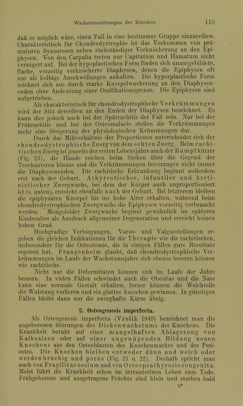 daß es möglich wäre, einen Fall in eine bestimmte Gruppe einzureihen. Charakteristisch für Chondrodystrophie ist das Vorkommen von prä- maturen Synostosen neben rückständiger Verknöcherung an den Epi- physen. Von den Carpalia treten nur Capitatum und Hamatum nicht verzögert auf. Bei der hypoplastischen Form finden sich unausgebildete, flache, vorzeitig verknöcherte Diaphysen, denen die Epiphysen oft nur als kolbige Anschwellungen anhaften. Die hyperplastische Form zeichnet sich aus durch starke Knorpelwucherung an den Diaphysen- enden ohne Andeutung einer Ossifikationsgrenze. Die Epiphysen sind aufgetrieben. Als charakteristisch für chondrodystrophische Verkrümmungen wird der Sitz derselben an den Enden der Diaphysen bezeichnet. Es kann dies jedoch auch bei der Spätrachitis der Fall sein. Nur bei der Frührachitis und bei der Osteomalacie stellen die Verkrümmungen mehr eine Steigerung der physiologischen Krümmungen dar. Durch das Mißverhältnis der Proportionen unterscheidet sich der chondrodystrophische Zwerg von dem echten Zwerg. Beimrachi- tischen Zwerg ist j enseits der ersten Lebensj ahre auch der R u m p f kürzer (Fig. 23), die Hände reichen beim Stehen über die Gegend der Trochanteren hinaus und die Verkrümmungen bevorzugen nicht immer die Diaphysenenden. Die rachitische Erkrankung beginnt außerdem erst nach der Geburt. Athyreotischer, infantiler und kreti- nist is eher Zwergwuchs, bei dem der Körper auch unproportioniert ist (s. unten), entsteht ebenfalls nach der Geburt. Bei letzterem bleiben die epiphysären Knorpel bis ins hohe Alter erhalten, während beim chondrodystrophischen Zwergwuchs die Epiphysen vorzeitig verbraucht werden. Mongoloider Zwergwuchs beginnt gewöhnlich im späteren Kindesalter als Ausdruck allgemeiner Degeneration und erreicht keinen hohen Grad. Hochgradige Verbiegungen, Varus- und ValgussteUungen er- geben die gleichen Indikationen für die Therapie wie die rachitischen, insbesondere für die Osteotomie, die in einigen Fällen gute Resultate ergeben hat. Frangenheim glaubt, daß chondrodystrophische Ver- krümmungen im Laufe der Wachstums] ahre sich ebenso bessern können wie rachitische. Nicht nur die Deformitäten können sich im Laufe der Jahre iDessern. In vielen Fällen schwindet auch die Obesitas und die Nase kann eine normale Gestalt erhalten, ferner können die Weichteile die Wulstung verlieren und ein glattes Aussehen gewinnen. In günstigen Fällen bleibt dann nur die zwerghafte Kürze übrig. 2. Osteogenesis imperfecta. Als Osteogenesis imperfecta (Vrolik 1849) bezeichnet man die angeborenen Störungen des Dicken wachs tu ms des Knochens. Die Krankheit beruht auf einer mangelhaften Ablagerung von Kalksalzcn oder auf einer ungenügenden Bildung neuen Knochens aus den Osteoblasten des Knochenmarkes und des Peri- ostes. Die Knochen bleiben entweder dünn und weich oder werden brüchig und porös (Fig. 21 u. 22). Deshalb spricht man auch von Fragilitas ossium und von Osteopsathyrosis congenita. Meist führt die Krankheit schon im intrauterinen Leben zum Tode. Frühgeborene und ausgetragene Früchte sind klein und sterben bald 8*