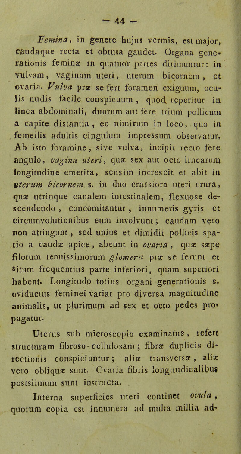 Femina, in genere hujus vermis, cstmajor, caudaque recta ct obtusa gaudet. Organa gene- rationis feminac in quatuor partes dirimuntur: in vulvam, vaginam uteri, uterum bicomem , et ovaria. Vulva prx se fert foramen exiguum, ocu- lis nudis facile conspicuum , quod, reperitur in linea abdominali, duorum aut fere trium pollicum a capite distantia , eo nimirum in loco, quo in , femeilis adultis cingulum imprcssum observatur, Ab isto foramine, sive vulva, incipit recto fere angulo, vagina uterit quac sex aut octo lineanim longitudinc emetita, sensim increscit et abit in uterum bicornem s. in duo crassiora uteri crura, quac utrinque canalem intestinalem, fiexuose de-^ scendendo , concomitantur, innumeris gyris et circumvolutionibus eum involvunt; caudam vero non attingunt, sed unius et dimidii pollicis spa-? tio a caudac apice, abeunt in ovaria , quac sarpe filorum tenuissimorum gtomera prac se ferunt et situm frequentius parte inferiori, quam superiori habent. Longitudp totius organi generationis s. oviducius feminei variat pro diversa magnitudine animalis, ut piurimum ad sex et octo pedes pro^ pagatur. Uterus sub microscopio examinatus . refcrt structuram fibroso-cellulosam ; fibrac duplicis di- rectionis conspiciuntur; aliac transversac, aliac vero obliquac sunt. Ovaria fibris longitudinalibui postsiimum sunt instructa. Interna superficies uteri continct ovula , quorum copia est innumera ad muita millia ad-