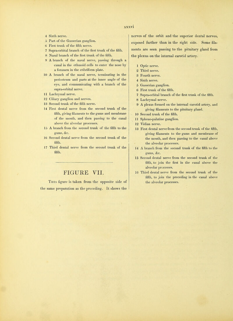 4 Sixth nerve. 5 Part of the Gasserian ganglion. 6 First trunk of the fifth nerve. 7 Supra-orbital branch of the first trunk of the fifth. 8 Nasal branch of the first trunk of the fifth. 9 A branch of the nasal nerve, passing through a canal in the ethmoid cells to enter the nose by a foramen in the cribriform plate. 10 A branch of the nasal nerve, terminating in the periosteum and parts at the inner angle of the eye, and communicating with a branch of the supra-orbital nerve. 11 Lachrymal nerve. 12 Ciliary ganglion and nerves. 13 Second trunk of the fifth nerve. 14 First dental nerve from the second trunk of the fifth, giving filaments to the gums and membrane of the mouth, and then passing to the canal above the alveolar processes. 15 A branch from the second trunk of the fifth to the gums, &c. 16 Second dental nerve from the second trunk of the fifth. 17 Third dental nerve from the second trunk of the fifth. FIGURE yil. This figure is taken from the opposite side of the same preparation as the preceding. It shows the nerves of the orbit and the superior dental nerves, exposed further than in the right side. Some fila- ments are seen passing to the pituitary gland from the plexus on the internal carotid artery. 1 Optic nerve. 2 Third nerve. 3 Fourth nerve. 4 Sixth nerve. 5 Gasserian ganglion. 6 First trunk of the fifth. 7 Supra-orbital branch of the first trunk of the fifth. 8 Lachrymal nerve. 9 A plexus formed on the internal carotid artery, and giving filaments to the pituitary gland. 10 Second trunk of the fifth. 11 Spheno-palatine ganglion. 12 Vidian nerve. 13 First dental nerve from the second trunk of the fifth, giving filaments to the gums and membrane of the mouth, and then passing to the canal above the alveolar processes. 14 A branch from the second trunk of the fifth to the gums, &c. 15 Second dental nerve from the second trunk of the fifth, to join the first in the canal above the alveolar processes. 16 Third dental nerve from the second trunk of the fifth, to join the preceding in the canal above the alveolar processes.