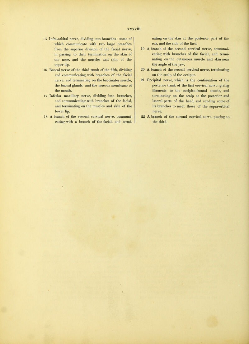 15 Infra-orbital nerve, dividing into branches; some of which communicate with two large branches from the superior division of the facial nerve, in passing to their termination on the skin of the nose, and the muscles and skin of the upper lip. 16 Buccal nerve of the third trunk of the fifth, dividing and communicating with branches of the facial nerve, and terminating on the buccinator muscle, the buccal glands, and the mucous membrane of the mouth. 17 Inferior maxillary nerve, dividing into branches, and communicating with branches of the facial, and terminating on the muscles and skin of the lower lip. 18 A branch of the second cervical nerve, communi- cating with a branch of the facial, and termi- nating on the skin at the posterior part of the ear, and the side of the face. 19 A branch of the second cervical nerve, communi- cating vnth branches of the facial, and termi- nating on the cutaneous muscle and skin near the angle of the jaw. 20 A branch of the second cervical nerve, terminating on the scalp of the occiput. 21 Occipital nerve, which is the continuation of the posterior trunk of the first cervical nerve, giving filaments to the occipito-frontal muscle, and terminating on the scalp at the posterior and lateral parts of the head, and sending some of its branches to meet those of the supra-orbital nerve. 22 A branch of the second cervical nerve, passing to the third.