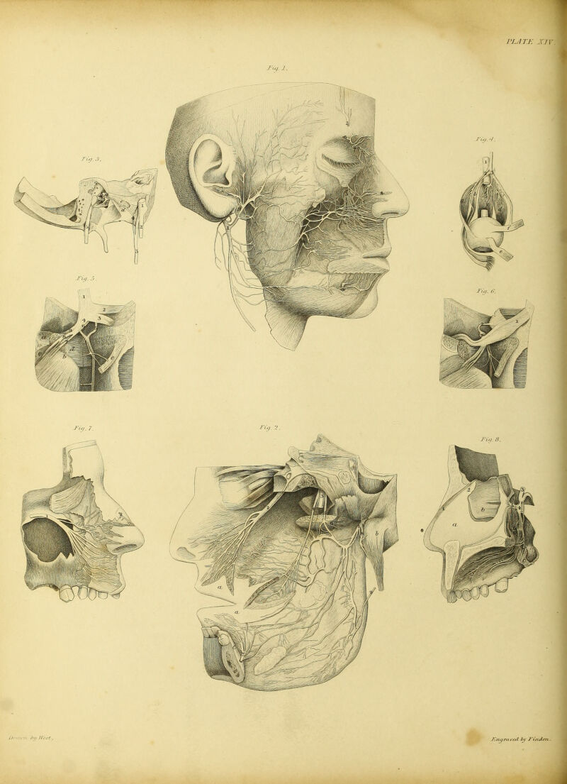 PJ.ATi: M\ J^Uj. 1. ■n A,/ irc.rt,