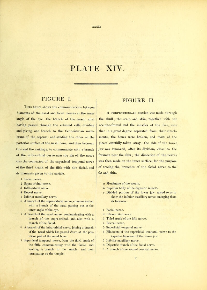 PLATE XIV. FIGURE I. This figure shows the communications between filaments of the nasal and facial nerves at the inner angle of the eye; the branch of the nasal, after having passed through the ethmoid cells, dividing and giving one branch to the Schneiderian mem- brane of the septum, and sending the other on the posterior surface of the nasal bone, and then between this and the cartilage, to communicate with a branch of the infra-orbital nerve near the ala of the nose ; also the connexion of the superficial temporal nerve of the third trunk of the fifth with the facial, and its filaments given to the auricle. 1 Facial nerve. 2 Supra-orbital nerve. 3 Infra-orbital nerve. 4 Buccal nerve. 3 Inferior maxillary nerve. 6 A branch of the supra-orbital nerve, communicating with a branch of the nasal passing out at the inner angle of the eye. 7 A branch of the nasal nerve, communicating with a branch of the supra-orbital, and also with a branch of the facial. 8 A branch of the infra-orbital nerve, joining a branch of the nasal which has passed down at the pos- terior part of the nasal bone. 9 Superficial temporal nerve, from the third trunk of the fifth, communicating with the facial, and sending a branch to the auricle, and then terminating on the temple. FIGURE 11. A PERPENDICULAR section was made through the skull; the scalp and skin, together with the occipito-frontal and the muscles of the face, were then in a great degree separated from their attach- ments ; the bones were broken, and most of the pieces carefully taken away; the side of the lower jaw was removed, after its division, close to the foramen near the chin ; the dissection of the nerves was then made on the inner surface, for the purpose of tracing the branches of the facial nerve to the fat and skin. a Membrane of the mouth. b Superior belly of the digastric muscle. c Divided portion of the lower jaw, raised so as to show the inferior maxillary nerve emerging from its foramen. 1 Facial nerve. 2 Infra-orbital nerve. 3 Third trunk of the fifth nerve. 4 Buccal nerve. 5 Superficial temporal nerve. 6 Filaments of the superficial temporal nerve to the capsular ligament of the lower jaw. 7 Inferior maxillary nerve. 8 Digastric branch of the facial nerve. 9 A branch of the second cervical nerve. T