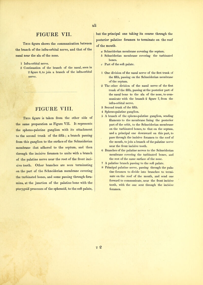 FIGURE VII. This figure shows the communication between the branch of the infra-orbital nerve, and that of the nasal near the ala of the nose. 1 Infra-orbital nerve. 2 Continuation of the branch of the nasal, seen in 2 figure 8, to join a branch of the infra-orbital nerve. FIGURE VIII. This figure is taken from the other side of the same preparation as Figure VII. It represents the spheno-palatine ganglion with its attachment to the second trunk of the fifth; a branch passing from this ganglion to the surface of the Schneiderian membrane that adhered to the septum, and then through the incisive foramen to unite with a branch of the palatine nerve near the root of the front inci- sive tooth. Other branches are seen terminating on the part of the Schneiderian membrane covering the turbinated bones, and some passing through fora- mina, at the junction of the palatine bone with the pterygoid processes of the sphenoid, to the soft palate, but the principal one taking its course through the posterior palatine foramen to terminate on the roof of the mouth. a Schneiderian membrane covering the septum. b Schneiderian membrane covering the turbinated bones. c Part of the soft palate. 1 One division of the nasal nerve of the first trunk of the fifth, passing on the Schneiderian membrane of the septum. 2 The other division of the nasal nerve of the first trunk of the fifth, passing at the posterior part of the nasal bone to the ala of the nose, to com- municate with the branch 2 figure 7, from the infra-orbital nerve. 3 Second trunk of the fifth. 4 Spheno-palatine ganglion. 5 A branch of the spheno-palatine ganglion, sending filaments to the membrane lining the posterior part of the orbit, to the Schneiderian membrane on the turbinated bones, to that on the septum, and a principal one downward on this part, to pass through the incisive foramen to the roof of the mouth, to join a branch of the palatine nerve near the front incisive tooth. 6 Branches of the palatine nerves to the Schneiderian membrane covering the turbinated bones, and the rest of the same surface of the nose. 7 A palatine branch passing to the soft palate. 8 Principal palatine nerve, passing through the pala- tine foramen to divide into branches to termi- nate on the roof of the mouth, and send one forward to communicate, near the front incisive tooth, with the one sent through the incisive foramen. T 2