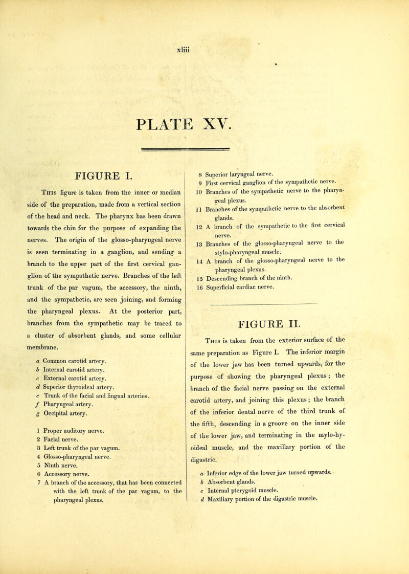 xHii PLATE XV. FIGURE I. This figure is taken from the inner or median side of the preparation, made from a vertical section of the head and neck. The pharynx has been drawn towards the chin for the purpose of expanding- the nerves. The origin of the glosso-pharyngeal nerve is seen terminating in a ganglion, and sending a branch to the upper part of the first cervical gan- glion of the sympathetic nerve. Branches of the left trunk of the par vagum, the accessory, the ninth, and the sympathetic, are seen joining, and forming the pharyngeal plexus. At the posterior part, branches from the sympathetic may be traced to a cluster of absorbent glands, and some cellular membrane. a Common carotid artery. b Internal carotid artery. c External carotid artery. d Superior thyroideal artery. e Trunk of the facial and lingual arteries. f Pharyngeal artery. g Occipital artery. 1 Proper auditory nerve. 2 Facial nerve. 3 Left trunk of the par vagum. 4 Glosso-pharyngeal nerve. .5 Ninth nerve. 6 Accessory nerve. 7 A branch of the accessory, that has been connected with the left trunk of the par vagum, to the pharyngeal plexus. 8 Superior laryngeal nerve. 9 First cervical ganglion of the sympathetic nerve. 10 Branches of the sympathetic nerve to the pharyn- geal plexus. 11 Branches of the sympathetic nerve to the absorbent glands. 12 A branch of the sympathetic to the first cervical nerve. 13 Branches of the glosso-pharyngeal nerve to the stylo-pharyngeal muscle. 14 A branch of the glosso-pharyngeal nerve to the pharyngeal plexus. 15 Descending branch of the ninth. 16 Superficial cardiac nerve. FIGURE II. This is taken from the exterior surface of the same preparation as Figure I. The inferior margin of the lower jaw has been turned upwards, for the purpose of shovdng the pharyngeal plexus; the branch of the facial nerve passing on the external carotid artery, and joining this plexus; the branch of the inferior dental nerve of the third trunk of the fifth, descending in a groove on the inner side of the lower jaw, and terminating in the mylo-hy- oideal muscle, and the maxillary portion of the digastric. a Inferior edge of the lower jaw turned upwards. b Absorbent glands. c Internal pterygoid muscle. d Maxillary portion of the digastric muscle.