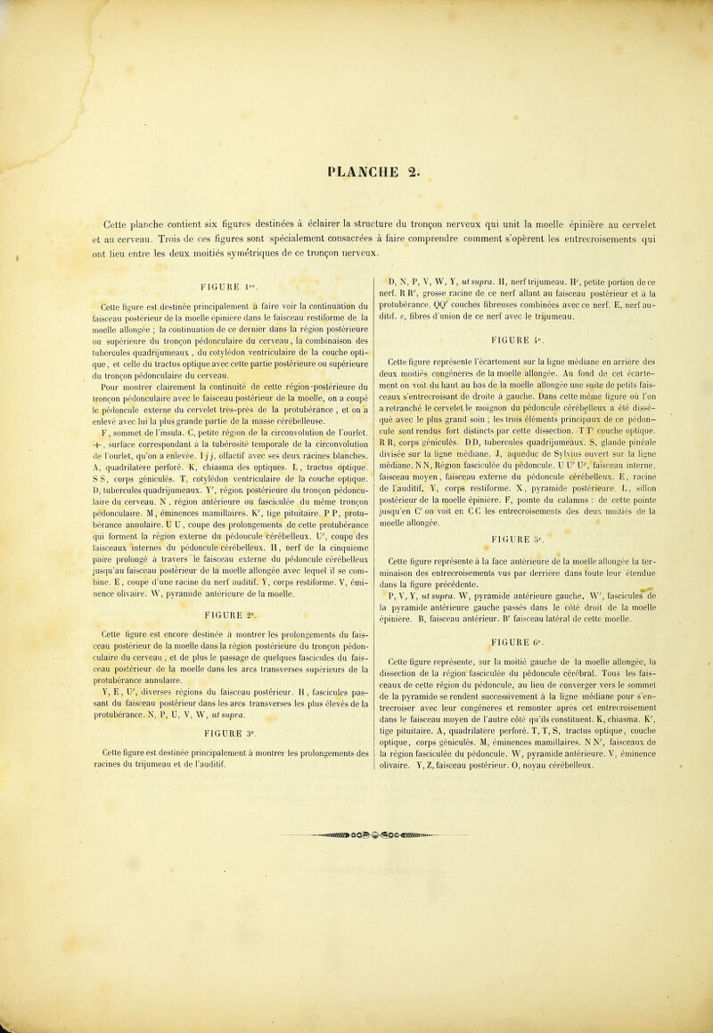 Cette planche contient six figures destinées à éclairer la structure du tronçon nerveux qui unit la moelle épinière au cervelet et au cerveau. Trois de ces figures sont spécialement consacrées à faire comprendre comment s'opèrent les entrecroisements qui ont lieu entre les deux moitiés symétriques de ce tronçon nerveux. FIGURE 1«. ^ Cette figure est destinée principalement à faire voir la continuation du faisceau postérieur de la moelle épinière dans le faisceau restiforme de la moelle allongée ; la continuation de ce dernier dans la région postérieure ou supérieure du tronçon pédonculaire du cerveau, la combinaison des tubercules quadrijumeaux , du cotylédon ventriculaire de la couche opti- que , et celle du tractus optique avec cette partie postérieure ou supérieure du tronçon pédonculaire du cerveau. Pour montrer clairement la continuité de cette région-postérieure du tronçon pédonculaire avec le faisceau postérieur de la moelle, on a coupé le pédoncule externe du cervelet très-près de la protubérance , et on a enlevé avec lui la plus grande partie de la masse cérébelleuse. F, sommet de l'insula. C, petite région de la circonvolution de l'ourlet. M-, surface correspondant à la tubérosité temporale de la circonvolution de l'ourlet, qu'on a enlevée. Ij j, olfactif avec ses deux racines blanches. A, quadrilatère perforé. K, chiasma des optiques. L, tractus optique. S S, corps géniculés. T, cotylédon ventriculaire de la couche optique. D, tubercules quadrijumeaux. Y', région postérieure du tronçon pédoncu- laire du cerveau. N , région antérieure ou fasciculée du même tronçon pédonculaire. M, éminences mamiUaires. K', tige pituitaire. P P, protu- bérance annulaire. U U, coupe des prolongements de cette protubérance qui forment la région externe du pédoncule cérébelleux. U', coupe des faisceaux internes du pédoncule cérébelleux. H, nerf de la cinquième paire prolongé à travers le faisceau externe du pédoncule cérébelleux jusqu'au faisceau postérieur de la moelle allongée avec lequel il se com- bine. E, coupe d'une racine du nerf auditif. Y, corps restiforme. V, émi- nence olivaire. W, pyramide antérieure delà moelle. FIGURE 2. Cette figure est encore destinée à montrer les prolongements du fais- ceau postérieur de la moelle dans la région postérieure du tronçon pédon- culaire du cerveau , et de plus le passage de quelques fascicules du fais- ceau postérieur de la moelle dans les arcs transverses supérieurs de la protubérance annulaire. Y, E, U', diverses régions du faisceau postérieur. H, fascicules pas- sant du faisceau postérieur dans les arcs transverses les plus élevés de la protubérance. N, P, U, V, W, ut supra. FIGURE 3^ Cette figure est destinée principalement à montrer les prolongements des racines du trijumeau et de l'auditif. D, N, P, V, W, Y, ut supra. H, nerf trijumeau. H', petite portion de ce nerf. R R', grosse racine de ce nerf allant au faisceau postérieur et à la protubérance. OQ' couches fibreuses combinées avec ce nerf. E, nerf au- ditif, e, fibres d'union de ce nerf avec le trijumeau. FIGURE i. Cette figure représente l'écartement sur la ligne médiane en arrière des deux moitiés congénères de la moelle allongée. Au fond de cet écarte- ment on voit du haut au bas de la moelle allongée une suite de petits fais- ceaux s'entrecroisant de droite à gauche. Dans cette même figure où l'on a retranché le cervelet le moignon du pédoncule cérébelleux a été dissé- qué avec le plus grand soin ; les trois éléments principaux de ce pédon- cule sont rendus fort distincts par cette dissection. T T'couche optique. R R, corps géniculés. DD, tubercules quadrijumeaux. S, glande pinéale divisée sur la ligne médiane. J, aqueduc de Sylvius ouvert sur la ligne médiane. NN, Région fasciculée du pédoncule. U U' U, faisceau interne, faisceau moyen, faisceau externe du pédoncule cérébelleux. E, racine de l'auditif. Y, corps restiforme. X, pyramide postérieure. L, sillon postérieur de la moelle épinière. F, pomte du calamus : de cette pointe jusqu'en C'en voit en CC les entrecroisements des deux moitiés de la moelle allongée. FIGURE 5^ Cette figure représente à la face antérieure de la moelle allongée la ter- minaison des entrecroisements vus par derrière dans toute leur étendue dans la figure précédente. P, Y, ut supra. W, pyramide antérieure gauche. W, fascicules de la pyramide antérieure gauche passés dans le côté droit de la moelle épinière. B, faisceau antérieur. B' faisceau latéral de cette moelle. FIGURE 6'=. Cette figure représente^, sur la moitié gauche de la moelle allongée, la dissection de la région fasciculée du pédoncule cérébral. Tous les fais- ceaux de cette région du pédoncule, au lieu de converger vers le sommet de la pyramide se rendent successivement à la ligne médiane pour s'en- trecroiser avec leur congénères et remonter après cet entrecroisement dans le faisceau moyen de l'autre côté qu'ils constituent. K, chiasma. K', tige pituitaire. A, quadrilatère perforé. T, T, S, tractus optique, couche optique, corps géniculés. M, éminences mamiUaires. NN', faisceaux de la région fasciculée du pédoncule. W, pyramide antérieure. V, éminence olivaire. Y, Z, faisceau postérieur. 0, noyau cérébelleux.
