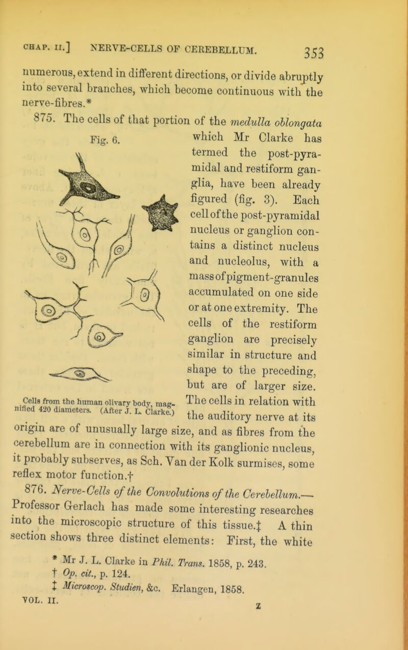 numerous, extend in different directions, or divide abruptly into several branches, which become continuous with the nerve-fibres.* 875. The cells of that portion of the medulla oUongata origin are of unusually large size, and as fibres from the cerebellum are in connection with its ganglionic nucleus, it probably subserves, as Sch. Van der Kolk surmises, some reflex motor function.f 876. Nerve-Cells of the Convolutions of the Cerebellum.— Professor G-erlach has made some interesting researches into the microscopic structure of this tissue.J A thin section shows three distinct elements: First, the white * Mr J. L. Clarke in Phil. Trans. 1858, p. 243. t Op. cit., p. 124. X Microscop. Studien, &c. Erlangen, 1868. Fig. 6. which Mr Clarke has termed the post-pyra- midal and restiform gan- glia, have been already figured (fig. 3). Each cell of the post-pyramidal nucleus or ganglion con- tains a distinct nucleus and nucleolus, with a mass of pigment-granules accumulated on one side or at one extremity. The cells of the restiform ganglion are precisely similar in structure and shape to the preceding, but are of larger size. The cells in relation with the auditory nerve at its VOL. II. z