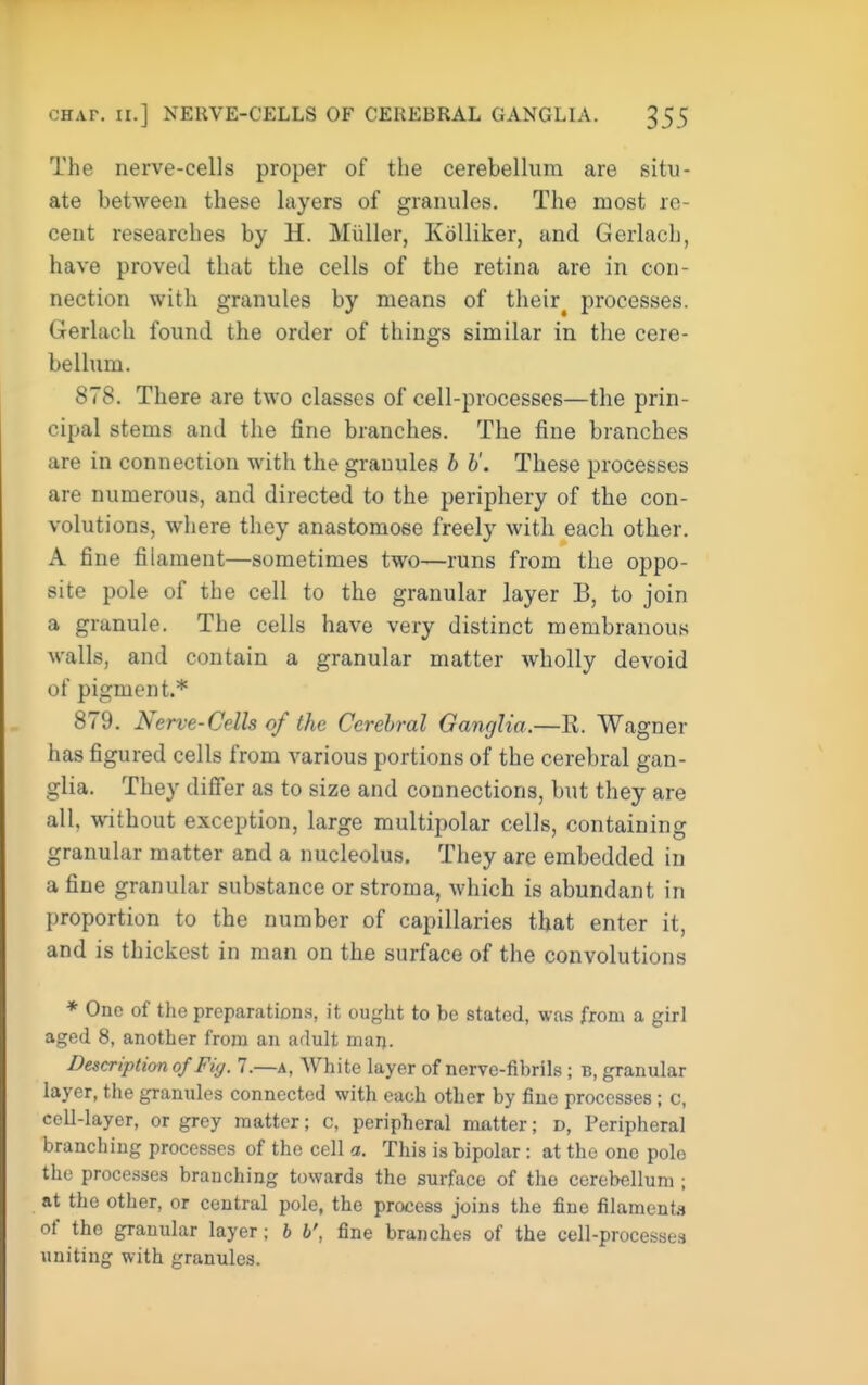 The nerve-cells proper of the cerebellum are situ- ate between these layers of granules. The most re- cent researches by H. Miiller, Kolliker, and Gerlach, have proved that the cells of the retina are in con- nection with granules by means of their^ processes. Gerlach found the order of things similar in tlie cere- bellum. 878. There are two classes of cell-processes—the prin- cipal stems and the fine branches. The fine branches are in connection with the granules b b'. These processes are numerous, and directed to the periphery of the con- volutions, where they anastomose freely with each other. A fine filament—sometimes two—runs from the oppo- site pole of the cell to the granular layer B, to join a granule. The cells have very distinct membranous walls, and contain a granular matter wholly devoid of pigment.* 879. Nerve-Cells of the Cerebral Ganglia.—B. Wagner has figured cells from various portions of the cerebral gan- glia. They difi'er as to size and connections, but they are all, without exception, large multipolar cells, containing granular matter and a nucleolus. They are embedded in a fine granular substance or stroma, which is abundant in proportion to the number of capillaries that enter it, and is thickest in man on the surface of the convolutions * One of the preparation.s, it ought to be stated, was from a girl aged 8, another from an adult marj. Description of Fig. 7.—a, White layer of nerve-fibrils; b, granular layer, the granules connected with each other by fine processes; c, cell-layer, or grey matter; c, peripheral matter; d, Peripheral branching processes of the cell a. This is bipolar : at the one polo the processes branching towards the surface of the cerebellum ; at the other, or central pole, the process joins the fine filamenta of the granular layer; h b', fine branches of the cell-processes uniting with granules.