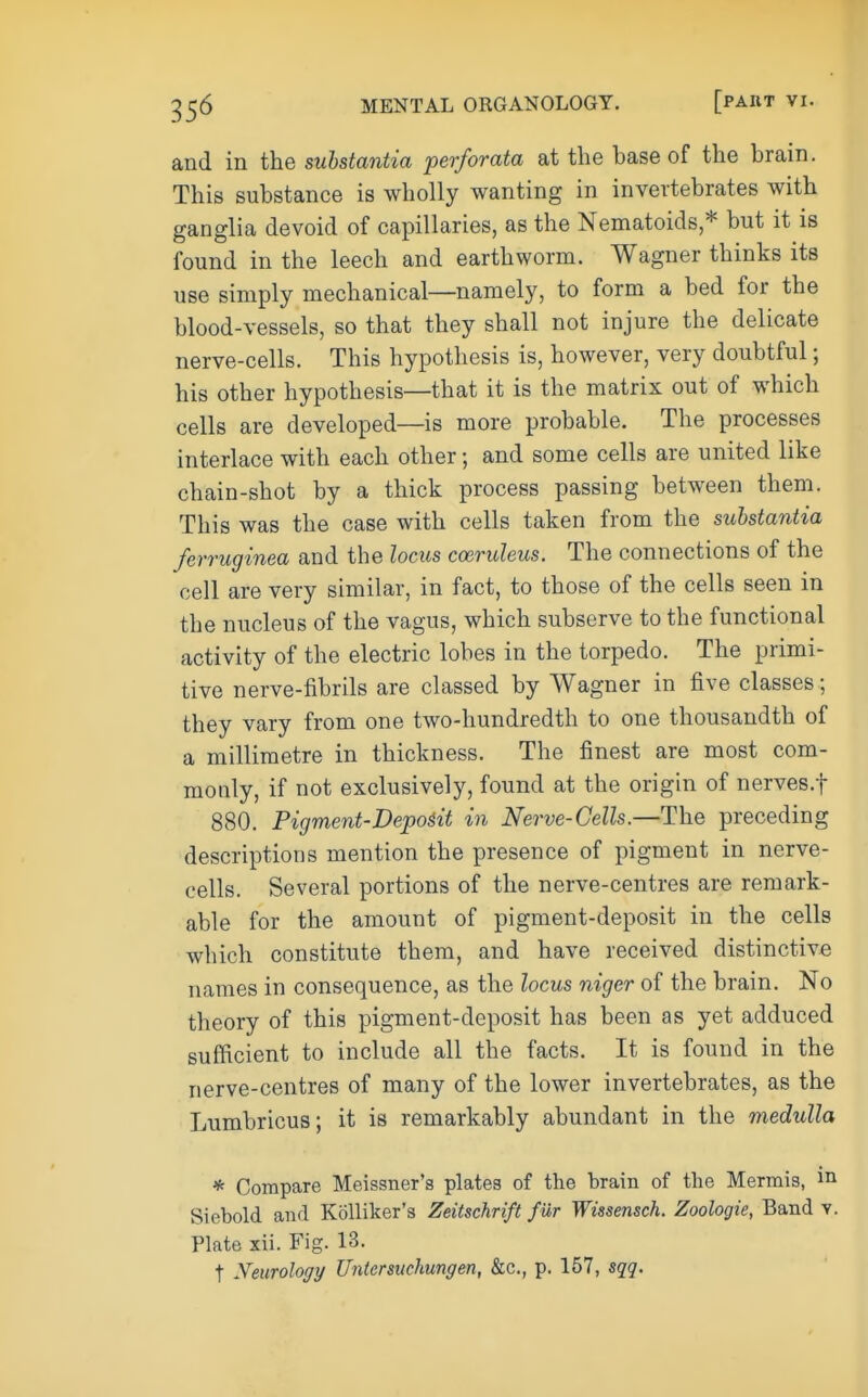 ^56 MENTAL ORGANOLOGY. [PABT VI. and in the substantia perforata at the hase of the brain. This substance is wholly wanting in invertebrates with ganglia devoid of capillaries, as the Nematoids * but it is found in the leech and earthworm. Wagner thinks its use simply mechanical—namely, to form a bed for the blood-vessels, so that they shall not injure the delicate nerve-cells. This hypothesis is, however, very doubtful; his other hypothesis—that it is the matrix out of which cells are developed—is more probable. The processes interlace with each other; and some cells are united like chain-shot by a thick process passing between them. This was the case with cells taken from the substantia ferruginea and the locus coeruleus. The connections of the cell are very similar, in fact, to those of the cells seen in the nucleus of the vagus, which subserve to the functional activity of the electric lobes in the torpedo. The primi- tive nerve-fibrils are classed by Wagner in five classes ; they vary from one two-hundredth to one thousandth of a millimetre in thickness. The finest are most com- monly, if not exclusively, found at the origin of nerves.f 880. Pigment-Deposit in Nerve-Cells.—The preceding descriptions mention the presence of pigment in nerve- cells. Several portions of the nerve-centres are remark- able for the amount of pigment-deposit in the cells which constitute them, and have received distinctive names in consequence, as the locus niger of the brain. No theory of this pigment-deposit has been as yet adduced sufficient to include all the facts. It is found in the nerve-centres of many of the lower invertebrates, as the Lumbricus; it is remarkably abundant in the medulla * Compare Meissner's plates of the brain of the Mermis, Siebold and Kolliker's Zeitschrift f ur Wissensch. Zoologie, Band v. Plate xii. Fig. 13. t yeurology Untermchungen, &c., p. 157, sqq.