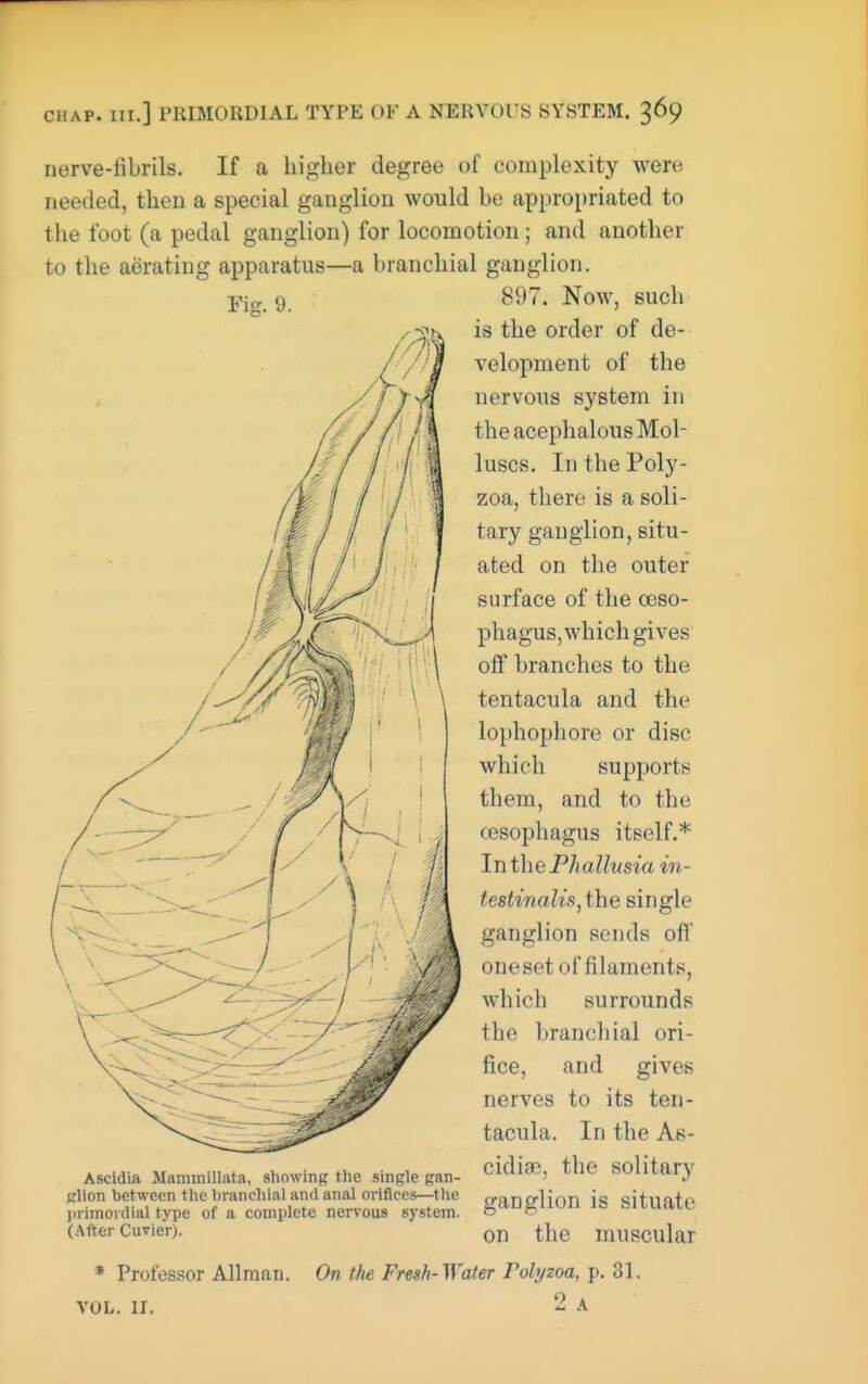 nerve-fibrils. If a higher degree of complexity were needed, then a special ganglion would be appropriated to the foot (a pedal ganglion) for locomotion; and another to the aerating apparatus—a branchial ganglion. Pig 9 897. Now, such is the order of de- velopment of the nervous system in the acephalous Mol- luscs. In the Poly- zoa, there is a soli- tary ganglion, situ- ated on the outer surface of the oeso- phagus, which gives off branches to the tentacula and the lophophore or disc which supports them, and to the oesophagus itself.* InthePhallusia in- te8tmaUs,the single ganglion sends off one set of filaments, Avhich surrounds the branchial ori- fice, and gives nerves to its ten- tacula. In the As- cidiag, the solitary ganglion is situate on the muscular Ascidia Mammillata, showinj? the single gan- glion between the branchial and anal orifices—the )>iiniordial type of a complete nervous system. (After Cuvier). * Professor Allraan. VOL. II. On the Fresh-Water Polyzoa, p. 31. 2 A