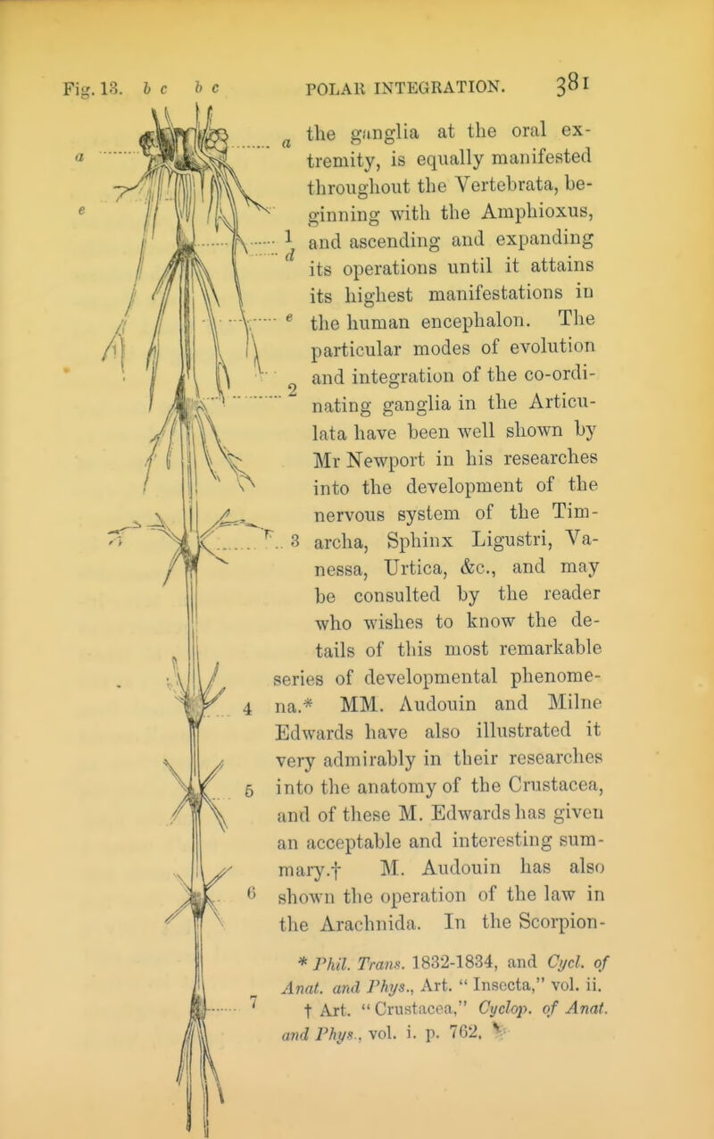 ^ the ganglia at the oral ex- tremity, is equally manifested throughout the Vertehrata, be- ginning with the Amphioxus, 1 and ascending and expanding its operations until it attains its highest manifestations in ■  the human encephalon. The particular modes of evolution 2 and integration of the co-ordi- nating ganglia in the Articu- lata have been well shown by Mr Newport in his researches into the development of the nervous system of the Tim- . 3 archa, Sphinx Ligustri, Va- nessa, Urtica, &c., and may be consulted by the reader who wishes to know the de- tails of this most remarkable series of developmental phenome- na.* MM. Audouin and Milne Edwards have also illustrated it very admirably in their researches into the anatomy of the Crustacea, and of these M. Edwards has given an acceptable and interesting sum- mary.! M. Audouin has also shown the operation of the law in the Arachnida. In the Scorpion- * rhil. Trans. 1832-1834, and Cyd. of Anat. and Phys., Art.  Insecta, vol. ii. t Art.  Crustacea, Cyclop, of Anat.