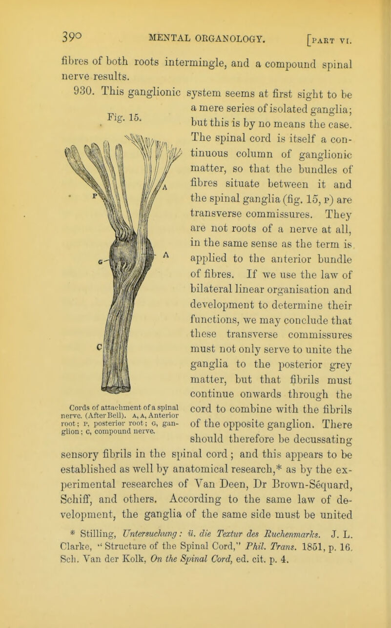 fibres of both roots intermingle, and a compound spinal nerve results. 930. This ganglionic system seems at first sight to be a mere series of isolated ganglia; but this is by no means the case. The spinal cord is itself a con- tinuous column of gano-lionic matter, so that the bundles of fibres situate between it and the spinal ganglia (fig. 15, p) are transverse commissures. They are not roots of a nerve at all, in the same sense as the term is applied to the anterior bundle of fibres. If we use the law of bilateral linear organisation and development to determine their functions, we may conclude that these transverse commissures must not only serve to unite the ganglia to the posterior grey matter, but that fibrils must continue onwards throus-h the Cords of attadiment of a spinal cord to Combine with the fibrils nerve. (AfterBell). a, a, Anterior root: p, posterior root; g, gan- of the opposite ganglion. There glion; c, compound nerve. ii i n should therefore be decussating sensory fibrils in the spinal cord ; and this appears to be established as well by anatomical research,* as by the ex- perimental researches of Van Deen, Dr Brown-Sequard, Schifi, and others. According to the same law of de- velopment, the ganglia of the same side must be united * Stilling, Untersuehung: ii. die Textur des Euchenmarks. J. L. Clarke,  Structure of the Spinal Cord, Phil. Trans. 1851, p. 16. Sell. Van der Kolk, On the Spinal Cord, ed. cit. p. 4.