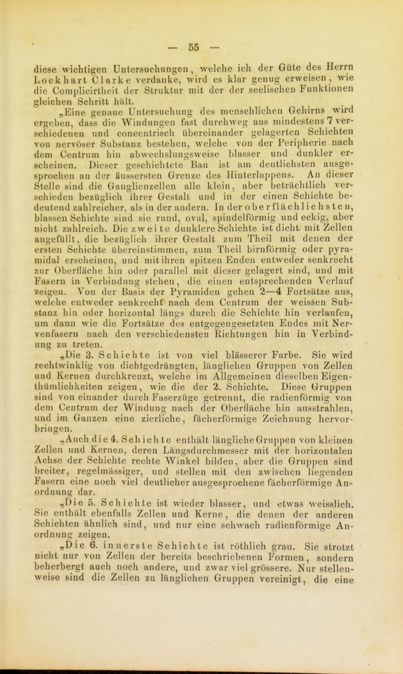 diese wichtigen Untersuchungen, welche ich der Güte des Herrn Lock hart Clarke verdanke, wird es klar genug erweisen , wie die Complicirtheit der Struktur mit der der seelischen Funktionen gleichen Schritt hält. „Eine genaue Untersuchung des menschlichen Gehirns wird ergeben, dass die Windungen fast durchweg aus mindestens 7 ver- schiedenen und concentrisch übereinander gelagerten Schichten von nervöser Substanz bestehen, welche von der Peripherie nach dem Centrum hin abwcchslungsweise blasser und dunkler er- scheinen. Dieser gesciiichtete Bau ist am deutlichsten ausge- sprochen an der äussersten Grenze des Hinterlappens. An dieser Stelle sind die Ganglienzellen alle klein, aber beträchtlich ver- schieden bezüglich ihrer Gestalt und in der einen Schichte be- deutend zahlreicher, als in der andern. In der oberflächlichsten, blassen Schichte sind sie rund, oval, spindelförmig und eckig, aber nicht zahlreich. Diezweite dunklere Schichte ist dicht mit Zellen angefüllt, die bezüglich ihrer Gestalt zum Theil mit denen der ersten Schichte übereinstimmen, zum Theil birnförmig oder pyra- midal erscheinen, und mit ihren spitzen Enden entweder senkrecht zur Obertläche hin oder parallel mit dieser gelagert sind, und mit Fasern in Verbindung stehen, die einen entsprechenden Verlauf zeigen. Von der Basis der Pyramiden gehen 2—4 Fortsätze aus, welche entweder senkrecht nach dem Centrum der weissen Sub- stanz hin oder horizontal längs durch die Schichte hin verlaufen, um dann wie die Fortsätze des entffco-enoesetzten Endes mit Ner- venfasern nach den verschiedensten Richtungen hin in Verbind- ung zu treten. „Die 3. Schichte ist von viel blasserer Farbe. Sie wird rechtwinklig von dichtgedrängten, länglichen Gruppen von Zellen und Kernen durchkreuzt, welche im Allgemeinen dieselben Eigen- thümlichkeiten zeigen, wie die der 2. Schichte. Diese Gruppen sind von einander durch FaserzUge getrennt, die radienförmig von dem Centrum der Windung nach der Oberfläche hin ausstrahlen, und im Ganzen eine zierliche, fächerförmige Zeichnung hervor- bringen. „Auch die 4. Schichte enthält längliche Gruppen von kleinen Zellen und Kernen, deren Längsdurchmesser mit der horizontalen Achse der Schichte rechte Winkel bilden, aber die Gru])])en sind breiter, regelmässiger, und stellen mit den zwischen liegenden Fasern eine noch viel deutlicher ausgesprochene fächerförmige An- ordnung dar. „Die 5. Schichte ist wieder blasser, und etwas weisslich. Sie enthält ebenfalls Zellen und Kerne, die denen der anderen Schichten ähnlich sind, und nur eine schwach radienförmige An- ordnung zeigen. „Die 6. innerste Schichte ist röthlich grau. Sie strotzt nicht nur von Zellen der bereits beschriebenen Formen, sondern beherbergt auch noch andere, und zwar viel grössere. Nur stellen- weise sind die Zellen zu länglichen Gruppen vereinigt, die eine