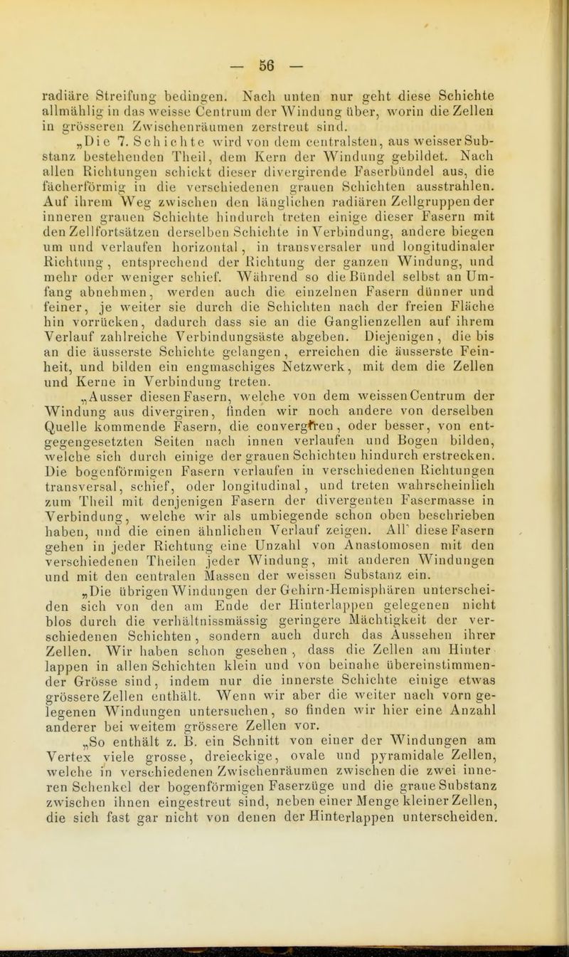 radiäre Streifung bedingen. Nach unten nur geht diese Schichte allmählig in das weisse Centrum der Windung über, worin die Zellen in grösseren Zwischenräumen zerstreut sind. „Die 7. Sch ichte wird von dem centralsten, aus weisser Sub- stanz bestehenden Theil, dem Kern der Windung gebildet. Nach allen Richtungen schickt dieser divergirende Faserbündel aus, die fächerförmi«»' in die verschiedenen erauen Schichten ausstrahlen. Auf ihrem Weg zwischen den länglichen radiären Zellgruppen der inneren grauen Schichte hindurch treten einige dieser Fasern mit den Zellfortsätzen derselben Schichte in Verbindung, andere biegen um und verlaufen horizontal , in transversaler und longitudinaler Richtung, entsprechend der Richtung der ganzen Windung, und mehr oder weniger schief. Während so die Bündel selbst an Um- fang abnehmen, werden auch die einzelnen Fasern dünner und feiner, je weiter sie durch die Schichten nach der freien Fläche hin vorrücken, dadurch dass sie an die Ganglienzellen auf ihrem Verlauf zahlreiche Verbindungsäste abgeben. Diejenigen, die bis an die äusserste Schichte gelangen , erreichen die äusserste Fein- heit, und bilden ein engmaschiges Netzwerk, mit dem die Zellen und Kerne in Verbindung treten. „Ausser diesen Fasern, welche von dem weissen Centrum der Windung aus divergiren, linden wir noch andere von derselben Quelle kommende Fasern, die convergfren , oder besser, von ent- gegengesetzten Seiten nach innen verlaufen und Bogen bilden, welche sich durch einige der grauen Schichten hindurch erstrecken. Die bogenförmigen Fasern verlaufen in verschiedenen Richtungen transversal, schief, oder longitudinal, und treten wahrscheinlich zum Theil mit denjenigen Fasern der divergenten Fasermasse in Verbindung, welche wir als umbiegende schon oben beschrieben haben, und die einen ähnlichen Verlauf zeigen. AIP diese Fasern gehen in jeder Richtung eine Unzahl von Anastomosen nüt den verschiedenen Theilen jeder Windung, mit anderen Windungen und mit den centralen Massen der weissen Substanz ein. „Die übrigen Windungen der Gehirn-Hemisphären unterschei- den sich von den am Ende der Hinterlappen gelegenen nicht blos durch die verhältnissmässig geringere Mächtigkeit der ver- schiedenen Schichten, sondern auch durch das Aussehen ihrer Zellen. Wir haben schon gesehen, dass die Zellen am Hinter läppen in allen Schichten klein und von beinahe übereinstimmen- der Grösse sind, indem nur die innerste Schichte einige etwas grössere Zellen enthält. Wenn wir aber die weiter nach vorn ge- leffenen Windungen untersuchen, so finden wir hier eine Anzahl anderer bei weitem grössere Zellen vor. „So enthält z. B. ein Schnitt von einer der Windungen am Vertex viele grosse, dreieckige, ovale und pyramidale Zellen, welche in verschiedenen Zwischenräumen zwischen die zwei inne- ren Schenkel der bogenförmigen Faserzüge und die graue Substanz zwischen ihnen eingestreut sind, neben einer Menge kleiner Zellen, die sich fast gar nicht von denen der Hinterlappen unterscheiden.