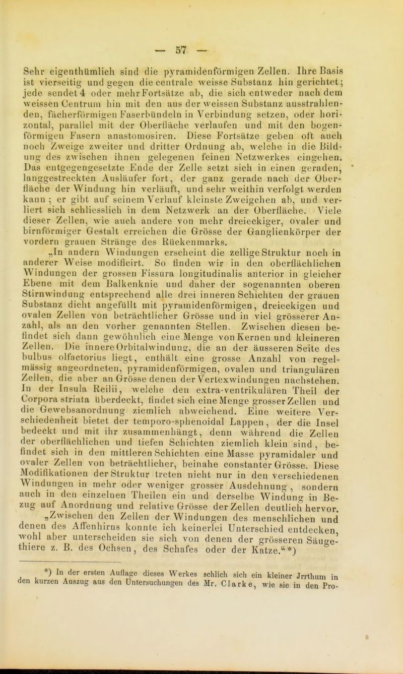 Sehr eigenthümlich sind die pyramidenförmigen Zellen. Ihre Basis ist vierseitig und gegen die centrale weisse Substanz hingerichtet; jede sendet 4 oder mehr Fortsätze ab, die sich entweder nachdem weissen Centrum hin mit den aus der weissen Substanz ausstrahlen- den, fächerförmigen Faserbündeln in Verbindung setzen, oder hori- zontal, parallel mit der Oberfläche verlaufen und mit den bogen- förmigen Fasern anastomosiren. Diese Fortsätze geben oft auch noeli Zweige zweiter und dritter Ordnung ab, welche in die Bild- ung des zw ischen ihnen gelegenen feinen Netzwerkes eingehen. Das entgegengesetzte Ende der Zelle setzt sich in einen geraden, langgestreckten Ausläufer fort, der ganz gerade nach der Ober- fläche der Windung hin verläuft, und sehr weithin verfolgt werden kann; er gibt auf seinem Verlauf kleinste Zweigciien ab, und ver- liert sich schliesslich in dem Netzwerk an der Oberfläche. Viele dieser Zellen, wie auch andere von mehr dreieckiger, ovaler und birnförmiger Gestalt erreichen die Grösse der Ganglienkörper der vordem grauen Stränge des Rückenmarks. „In andern Windungen erseheint die zellige Struktur noch in anderer Weise modificirt. So finden wir in den oberflächlichen Windungen der grossen Fissura longitudinalis anterior in gleicher Ebene mit dem Balkenknie und daher der sogenannten oberen Stirnwindung entsprechend alle drei inneren Schichten der grauen Substanz dicht angefüllt mit pjramidenförmigen, dreieckigen und ovalen Zellen von beträchtlicher Grösse und in viel grösserer An- zahl, als an den vorher genannten Stellen. Zwischen diesen be- findet sich dann gewöhnlich eine Menge von Kernen und kleineren Zellen. Die innere Orbitalwinduua', die an der äusseren Seite des bulbus olfactorius liegt, enthält eine grosse Anzahl von regel- mässig angeordneten, pyramidenförmigen, ovalen und triangulären Zellen, die aber an Grösse denen der Vertexwindungen naclistehen. In der Insula Reilii, welche den extra-ventrikulären Theil der Corpora striata überdeckt, findet sich eine Menge grosser Zellen und die Gewebsanordnung ziemlich abweichend. Eine weitere Ver- schiedenheit bietet der temporo-sphenoidal Lappen , der die Insel bedeckt und mit ihr zusammenhängt, denn während die Zellen der oberflächlichen und tiefen Schichten ziemlich klein sind , be- findet sich in den mittleren Schichten eine Masse pyramidaler und ovaler Zellen von beträchtlicher, beinahe constanter Grösse. Diese Modifikationen der Struktur treten nicht nur in den verschiedenen Windungen in mehr oder weniger grosser Ausdehnung , sondern auch in den einzelnen Tlieilen ein und derselbe Windunj? in Be- zug auf Anordnung und relative Grösse der Zellen deutlich hervor. „Zwischen den Zellen der Windungen des menschlichen und denen des Affenhirns konnte ich keinerlei Unterschied entdecken wohl aber unterscheiden sie sich von denen der grösseren Säuo-e- thiere z. B. des Ochsen, des Schafes oder der Katze.''*) *) In der ersten Auflage dieses Werkes schlicli sich ein kleiner Jrrthum in den kurzen Auszug aus den Untersuchungen des Mr. Clark e, wie sie in den Pro-